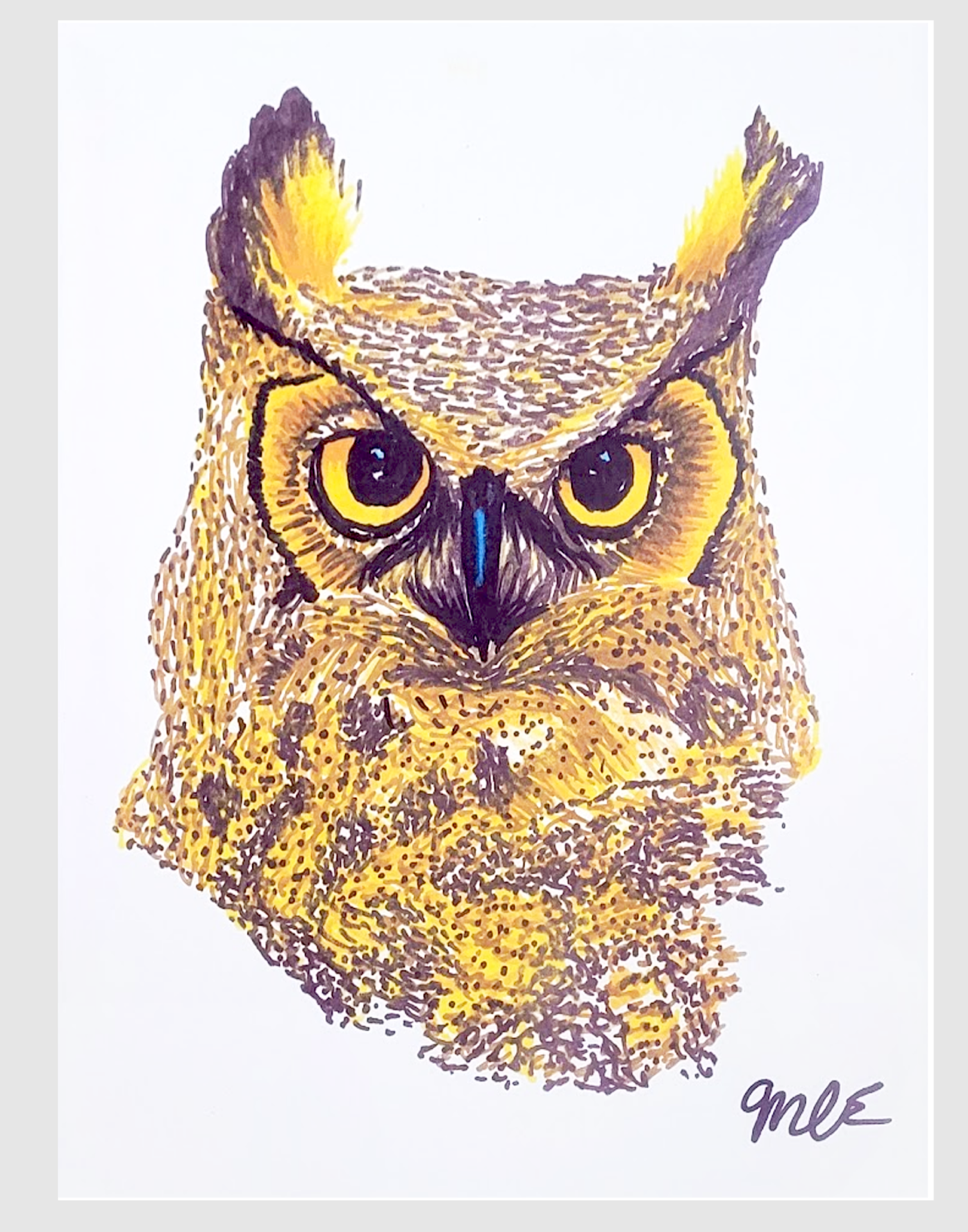 OwlPedit.png