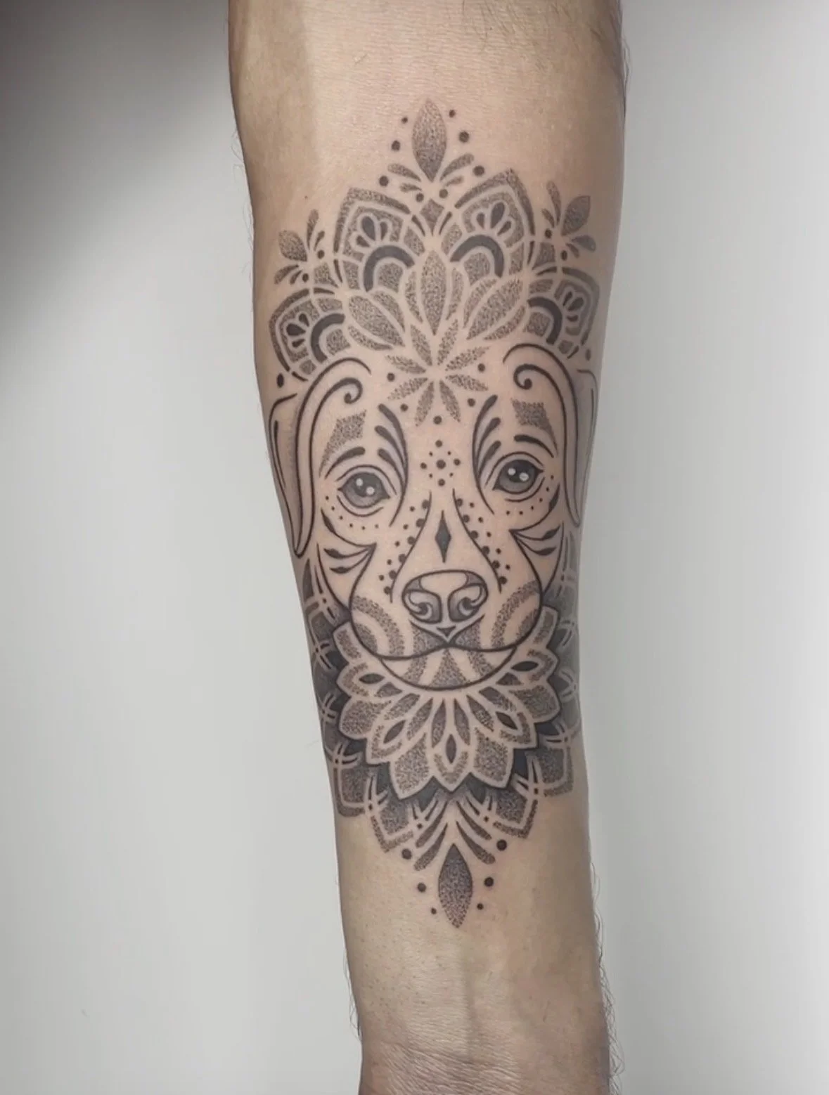 Tattoo of a dog's face with decorative patterns and mandala elements on a person's forearm.