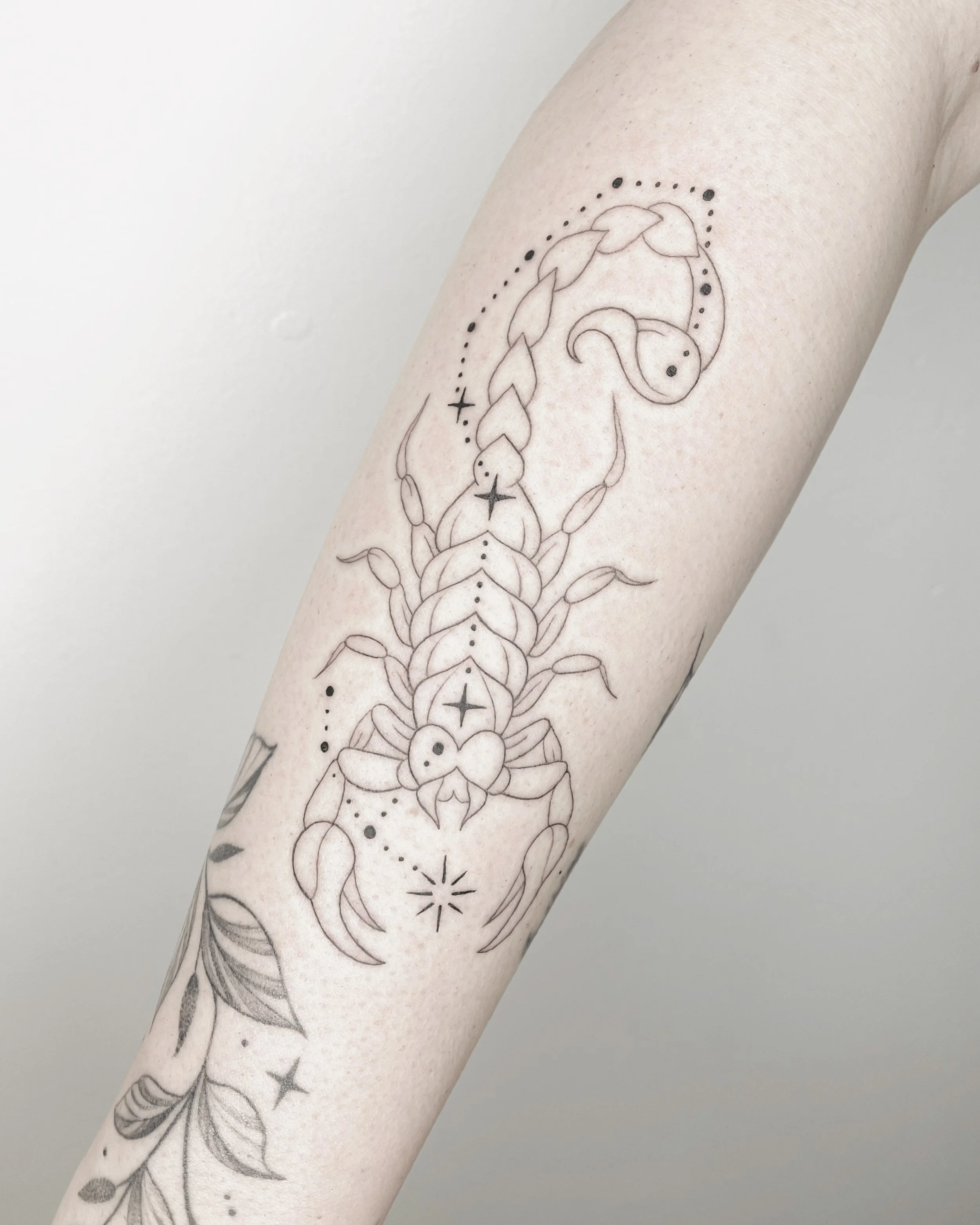 A tattoo on a person's arm featuring a stylized scorpion with floral and geometric elements, including leaves, stars, and dotted patterns in black ink.