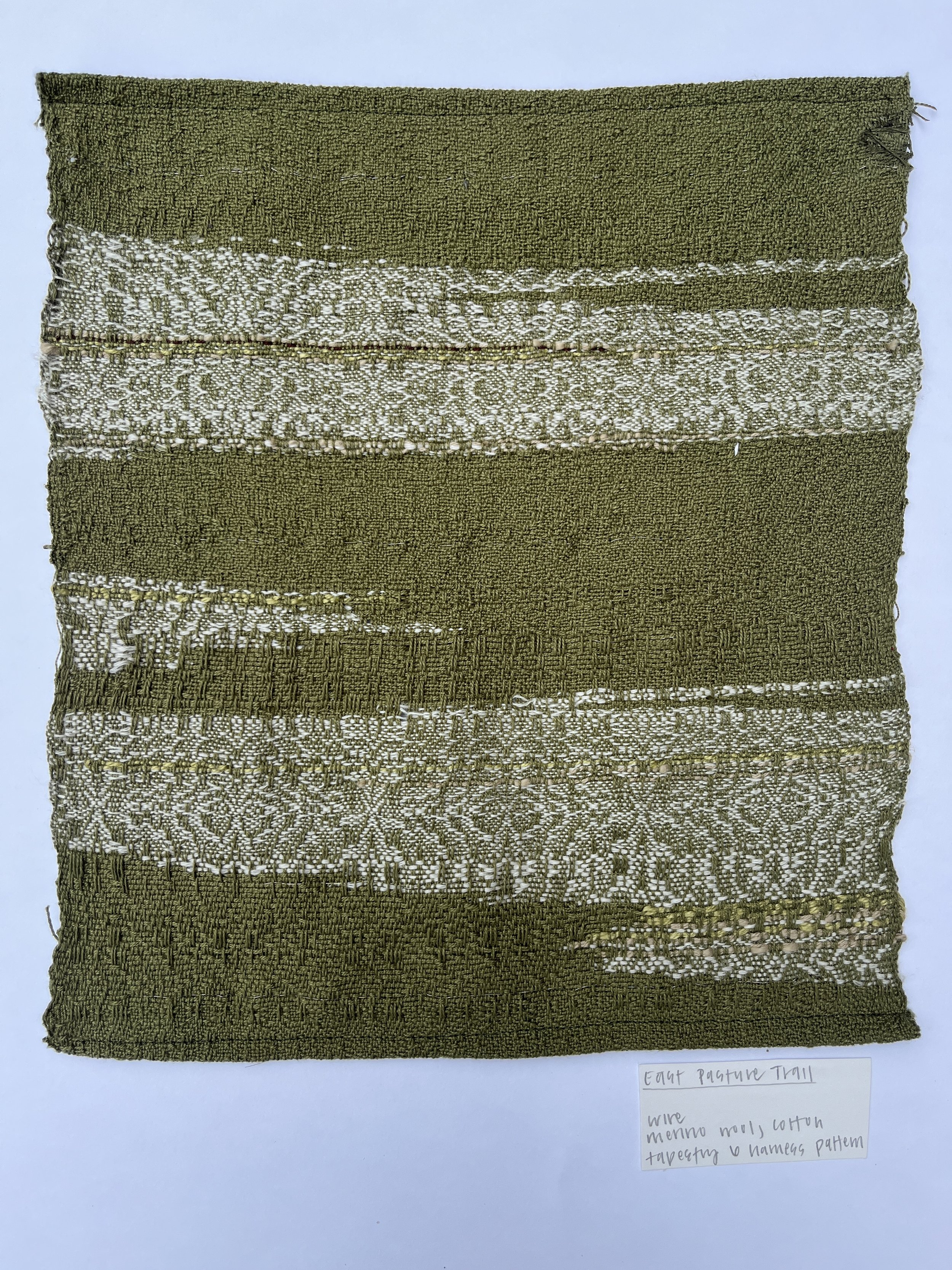 East Pasture Trail:
wire, cotton, & merino wool, 12 x 15 inches, 2025