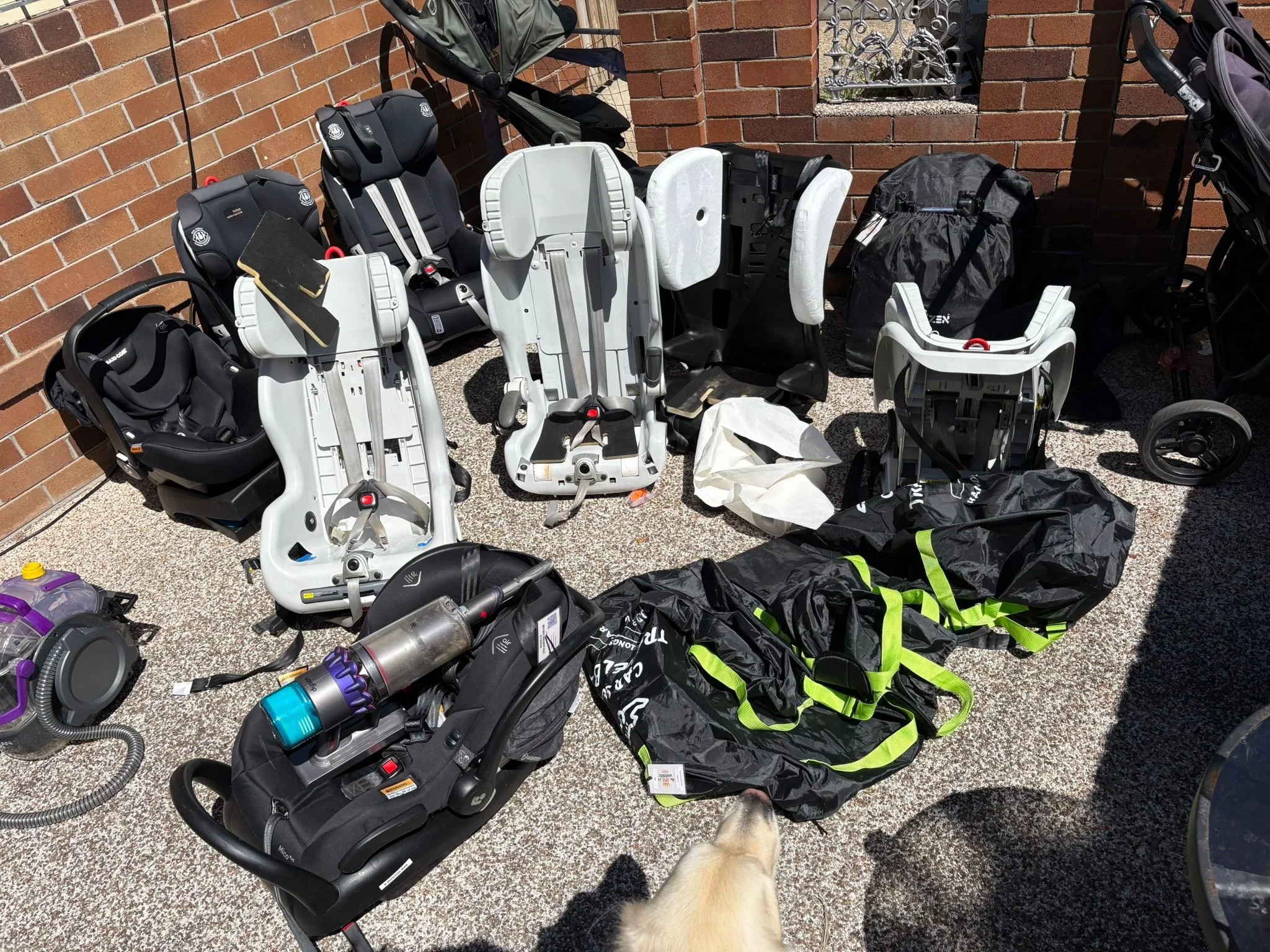 Why Cleanliness Matters When Hiring Baby Equipment in Sydney