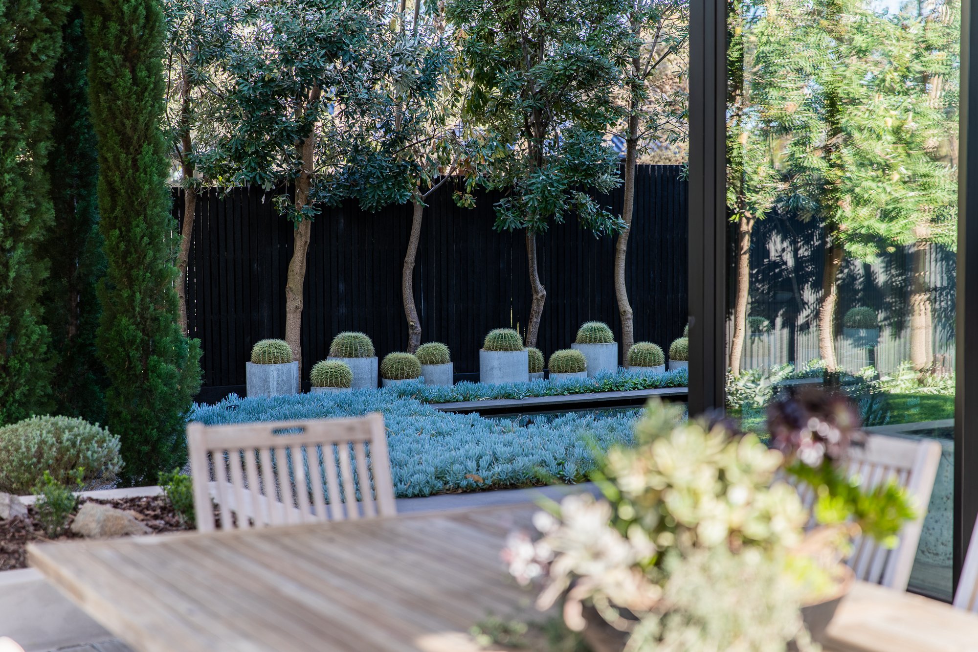 The design balances structure and softness, using a refined palette of sculptural plantings, indigenous species, and classic evergreens to create a cohesive and low-maintenance outdoor space.