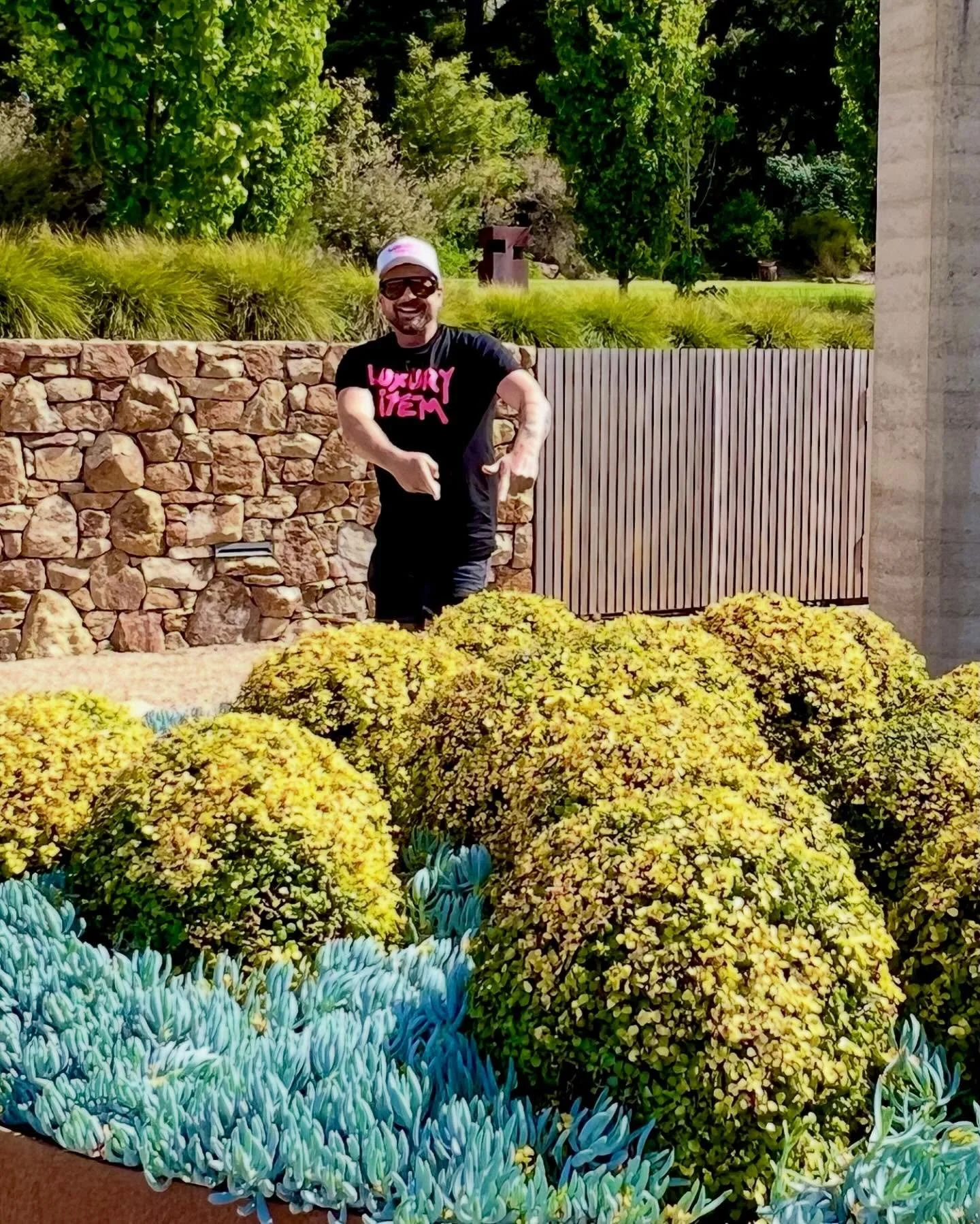 Look what we can turn Portulacaria Afra&hellip; into&hellip; these spectacular golden round spheres&hellip; sunshine&hellip;. filled little sculptures in the garden&hellip; trimmed just once a year and they stay perfectly plump and glowing&hellip; ☀️