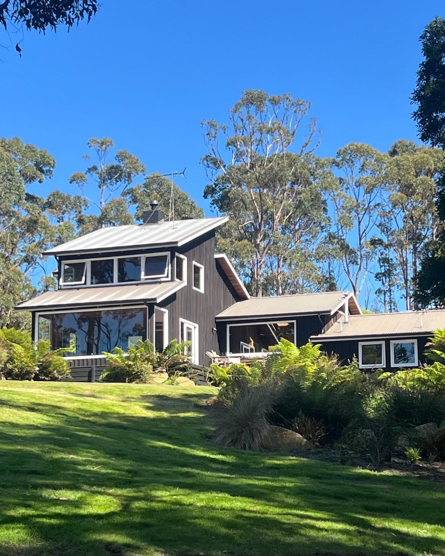 Four years in the making&hellip; 🌿🖤

A Stuart Tanner architectural home grounded gently into the landscape at Eaglehawk Neck&hellip; and a garden grown with patience&hellip;. respect and deep listening&hellip;.

99.9% indigenous to this place&helli