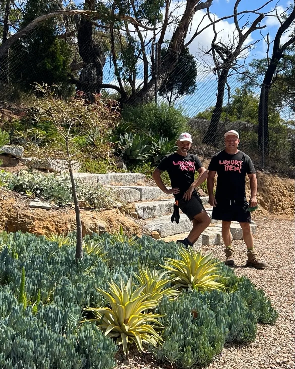 Yesterday&rsquo;s garden&hellip; transformed 🌿✨

A brand new section brought to life by Team CHD&hellip; structure&hellip; texture&hellip; layers&hellip; and that instant wow factor.

Do you need your garden designed from the ground up&hellip;
An ex