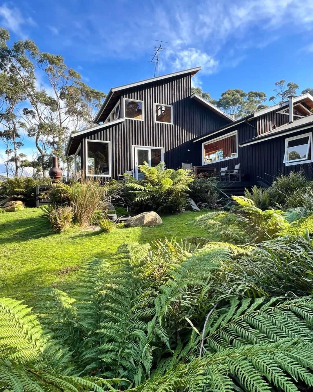 Going back over this one&hellip; and wow&hellip; it really stops me in my tracks 🌿

This project has absolutely taken off&hellip; and to see it settle back into the land within just 12 months&hellip; through the harsh, salt-laden winds of Eaglehawk 