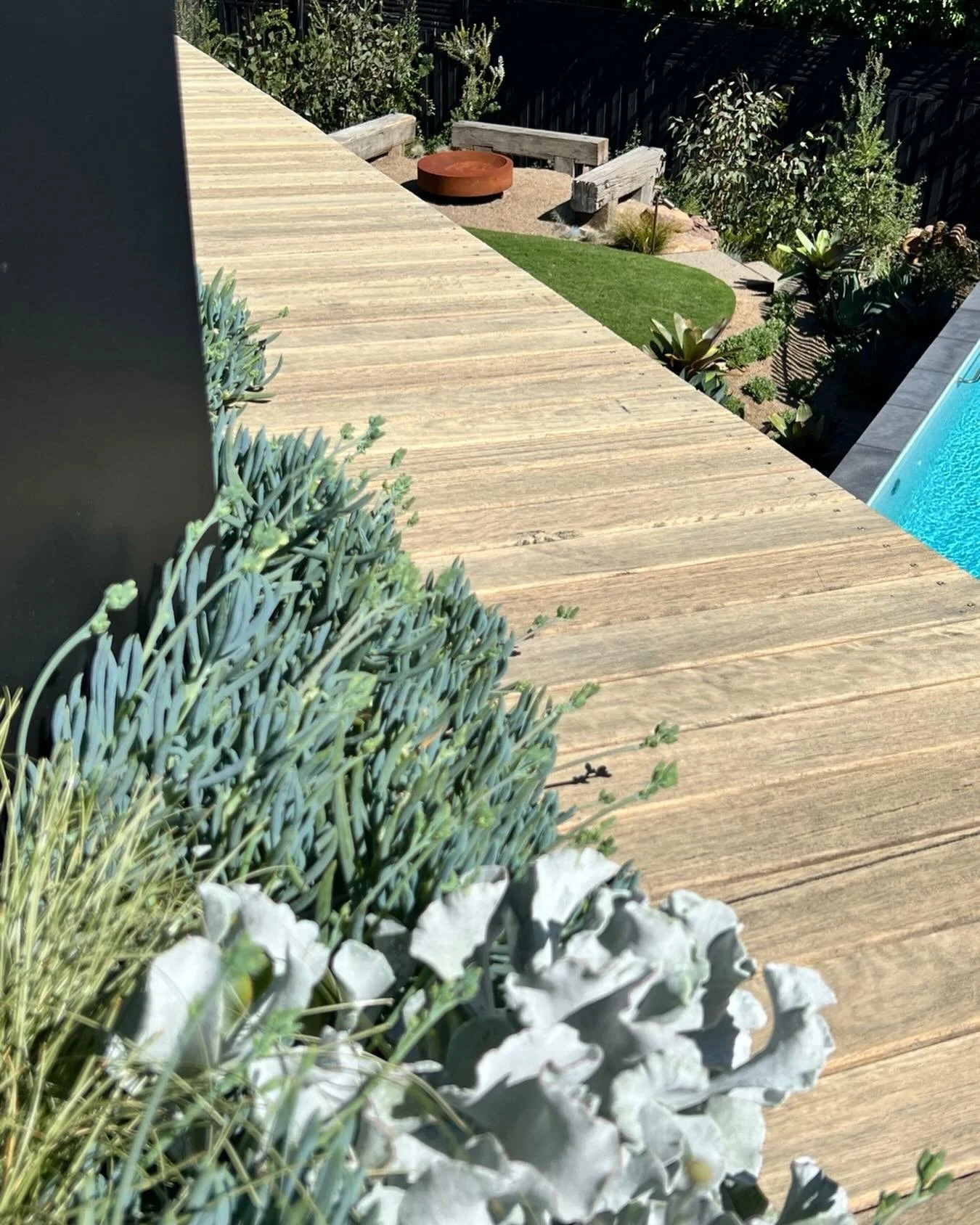 Sometimes the smallest spaces ask for the biggest thinking&hellip; and this is where the magic really lives

A narrow edge&hellip; a forgotten strip&hellip; becomes a journey
Layered planting brushing against warm timber underfoot&hellip;
soft silver