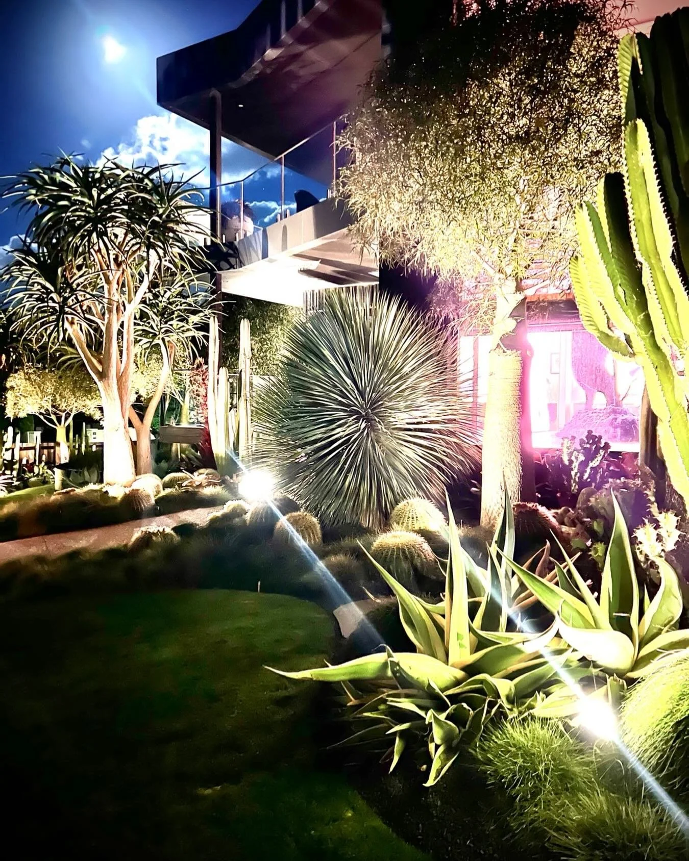 🌕✨ Quick&hellip; go outside and have a look at tonight&rsquo;s full moon.

It&rsquo;s the perfect reminder that great gardens aren&rsquo;t just for daylight hours. This is one of our gardens 2&frac12; years after planting, captured on the eve of the