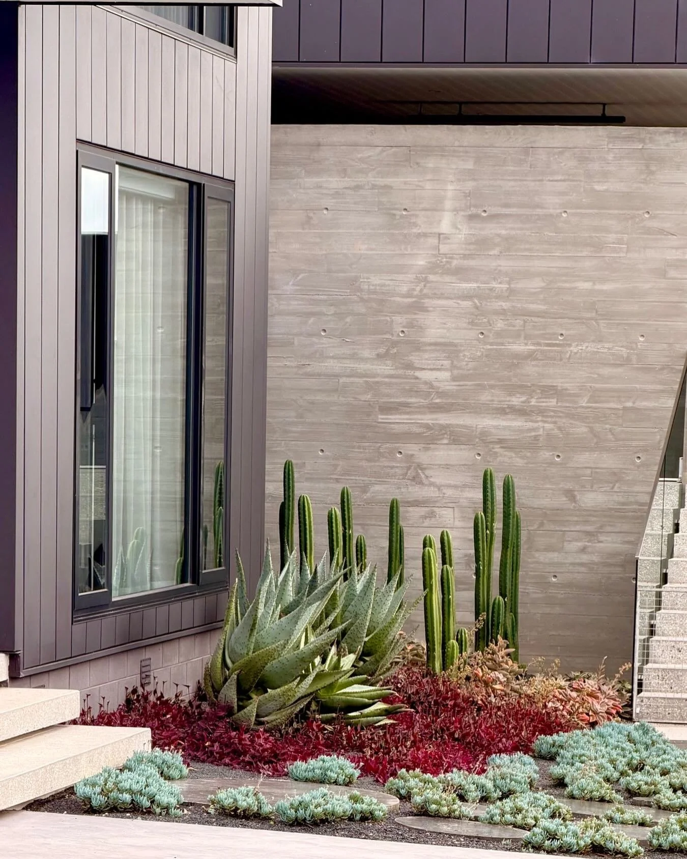A little slice of Palm Springs&hellip; dropped into the bushy woodlands of Frankston South.

For Darren and Bec, this garden was all about contrast. Bold architectural forms softened by a tapestry of succulents, sculptural aloes standing proud, cactu