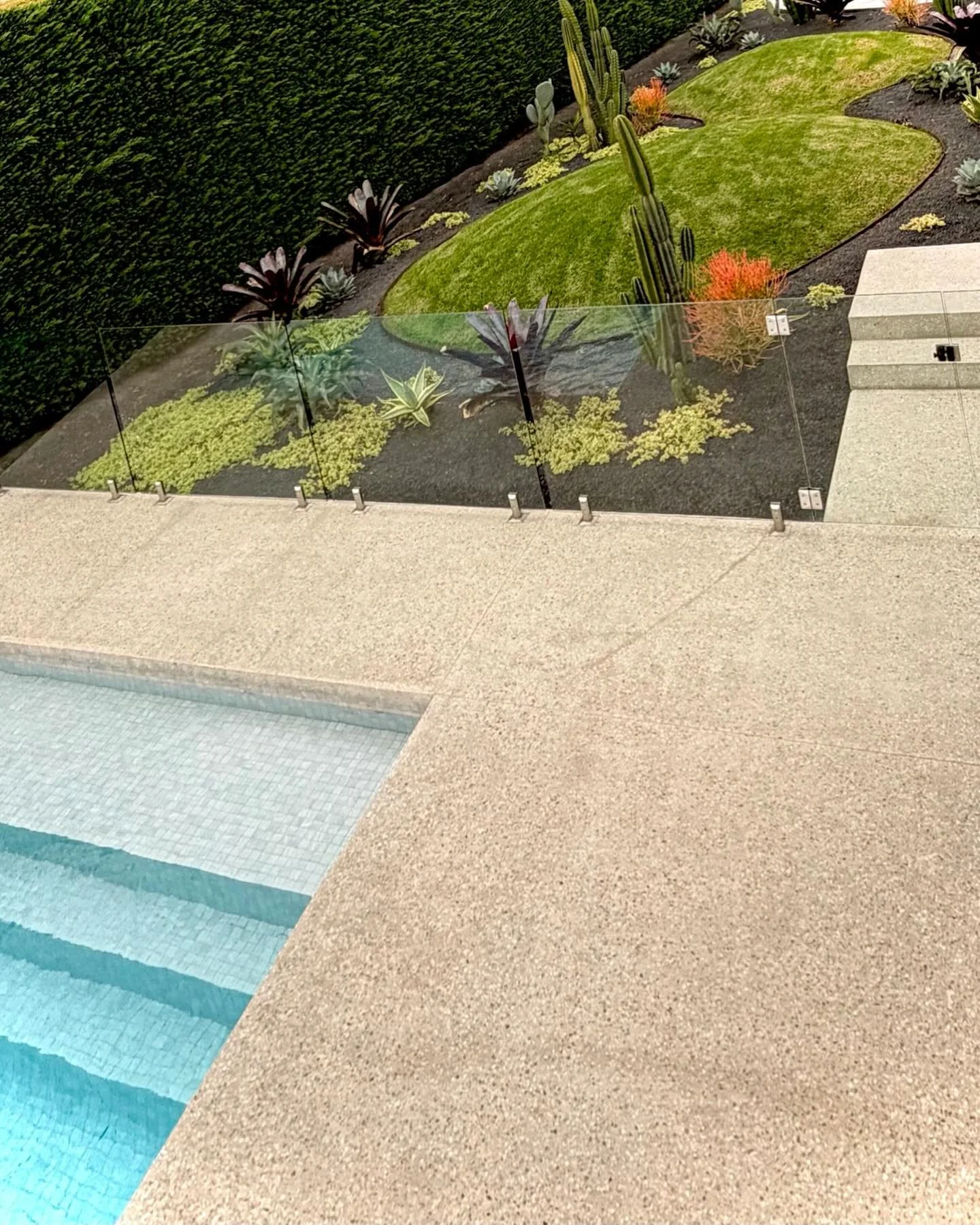 One year after planting&hellip; 🌵☀️

&hellip;and the garden is doing exactly what great gardens should do.

It&rsquo;s no longer looking planted.

It&rsquo;s looking like it belongs.

The cacti have found their confidence. The bromeliads are throwin