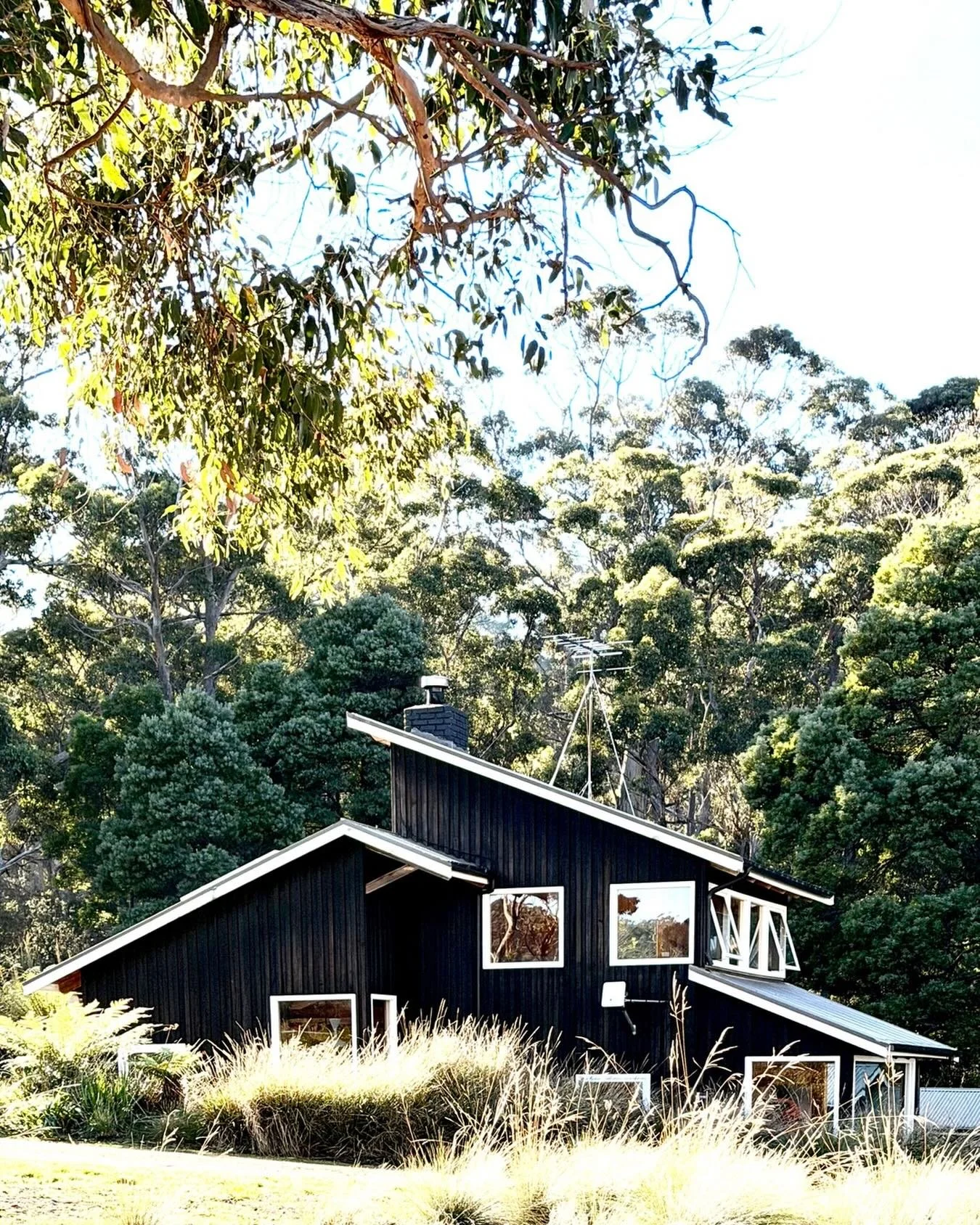 ✈️ Touchdown Tasmania&hellip; and straight back to one of our favourite places on earth.

Five years ago, this landscape was little more than a vision, a few sketches, thousands of indigenous plants and a whole lot of faith. Today, arriving back at E