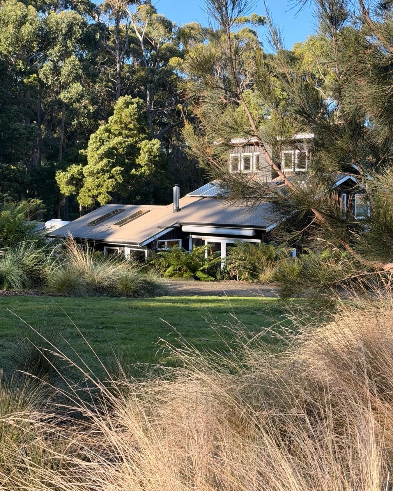 &ldquo;Three years after planting&hellip; and Mother Nature has almost claimed it as her own.&rdquo; 🌿✨

A  @stuarttannerarchitect home, gently grounded into the hillside of Eaglehawk Neck, overlooking the breathtaking waters of Pirates Bay. With 99
