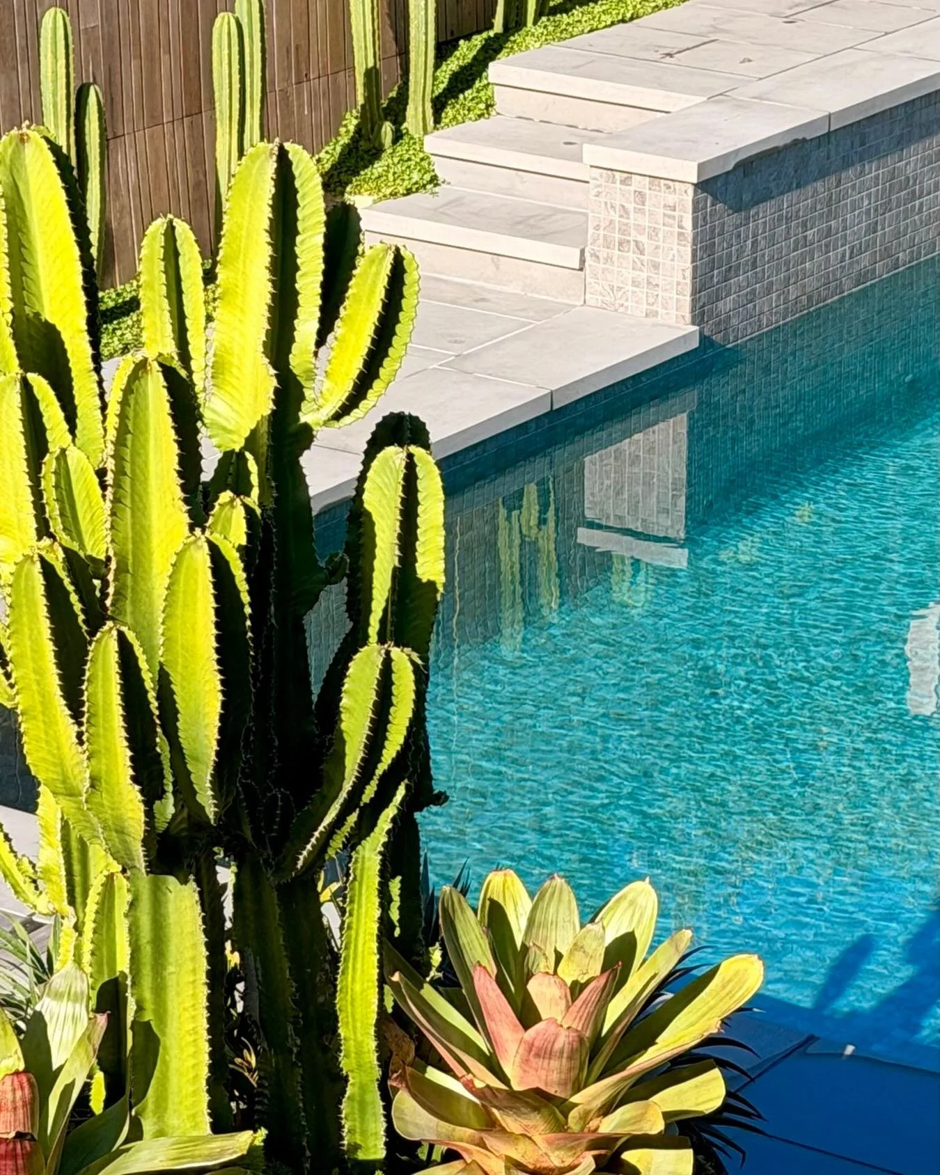 🌵💦 Four months after planting&hellip; and this Mount Martha clifftop pool is already serving serious resort vibes! 💦🌵

Designed by CHD and brought to life by @aquariuspools.au this 20-year-old swimming pool has been completely transformed into a 