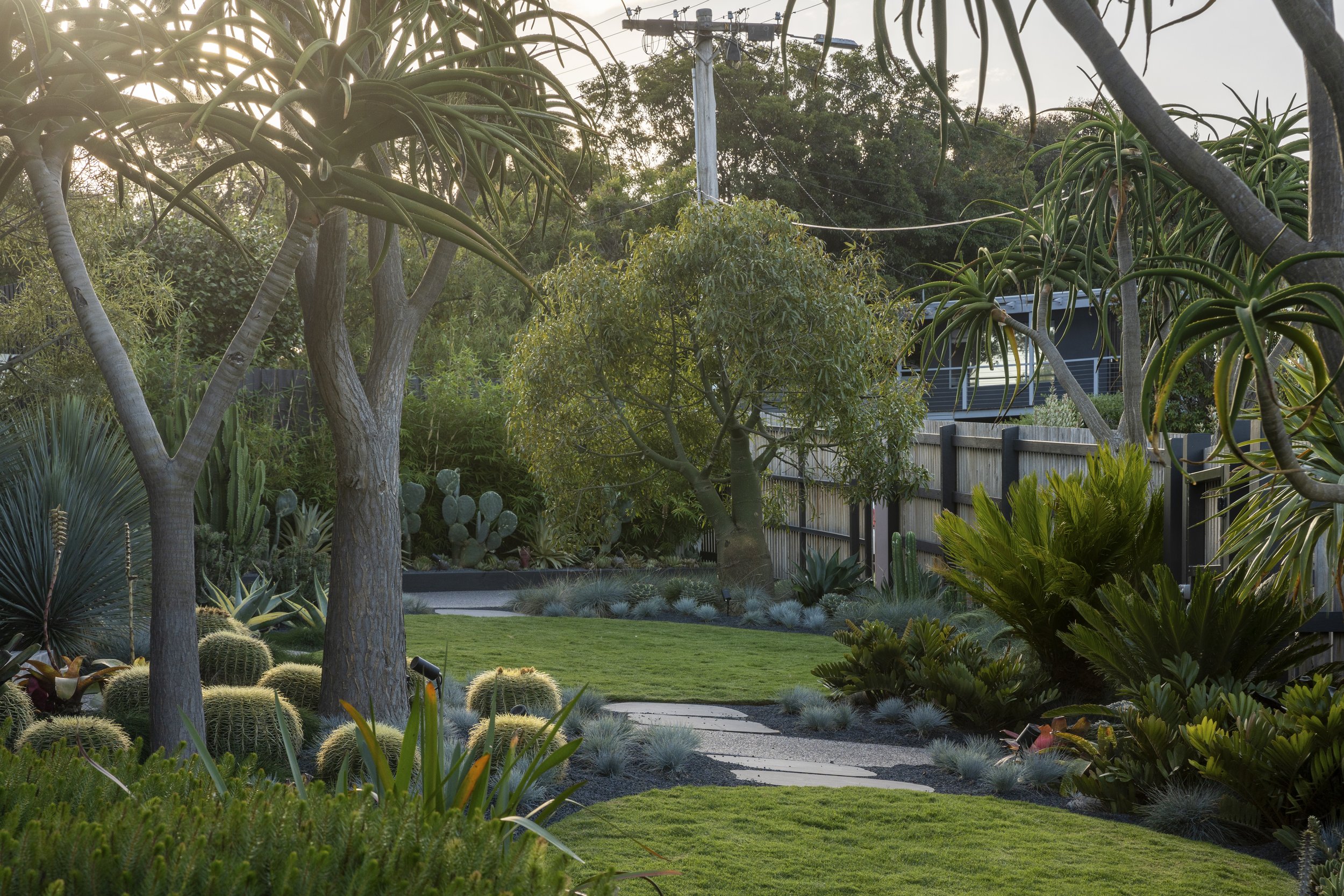 Tranquil garden landscape with succulent plants, tall trees, and lush greenery, featuring a winding stone path and a fence in the background.