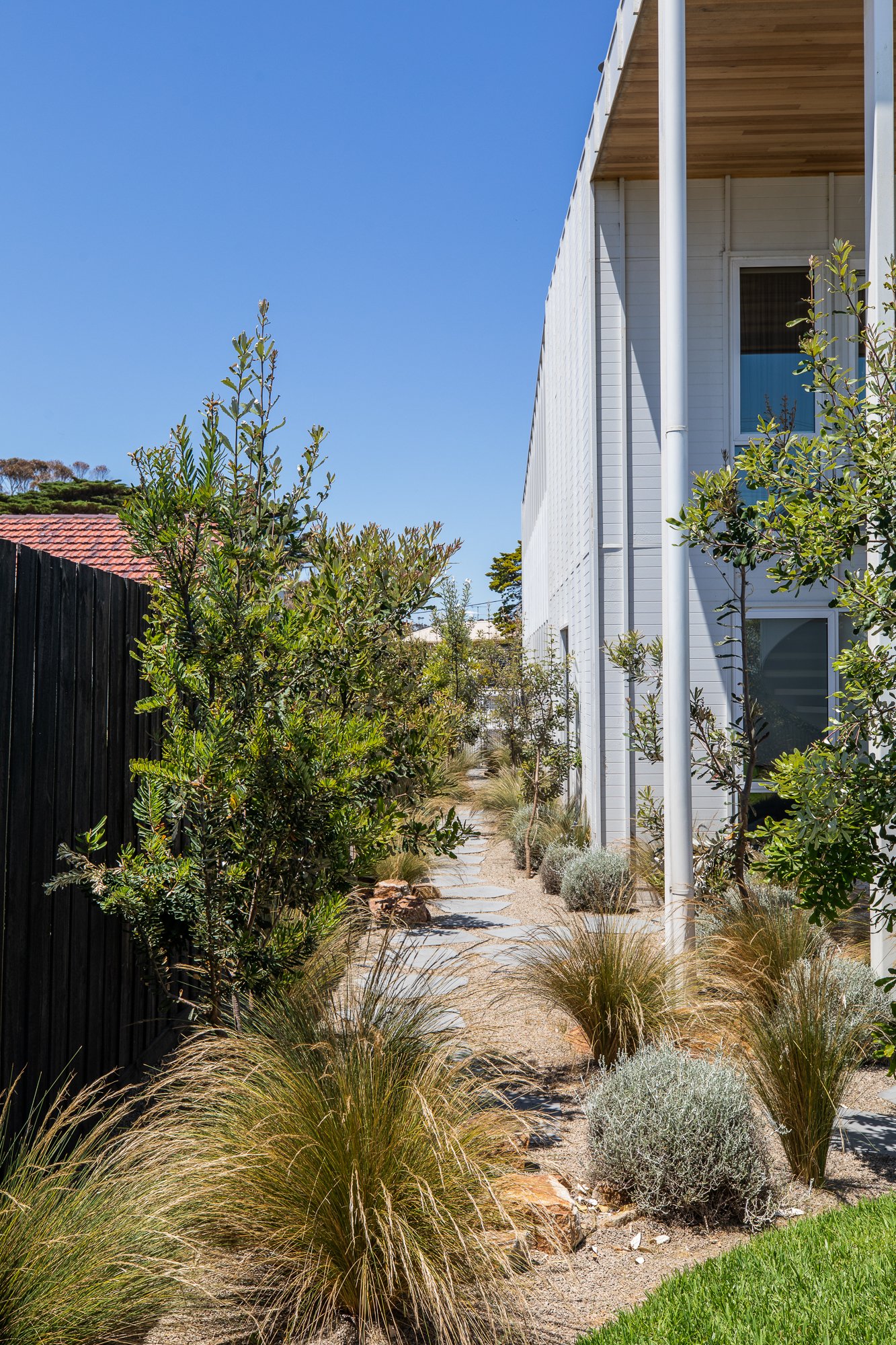 Modern outdoor garden with pathway, surrounded by various grasses and small bushes, next to a white building under a clear blue sky.