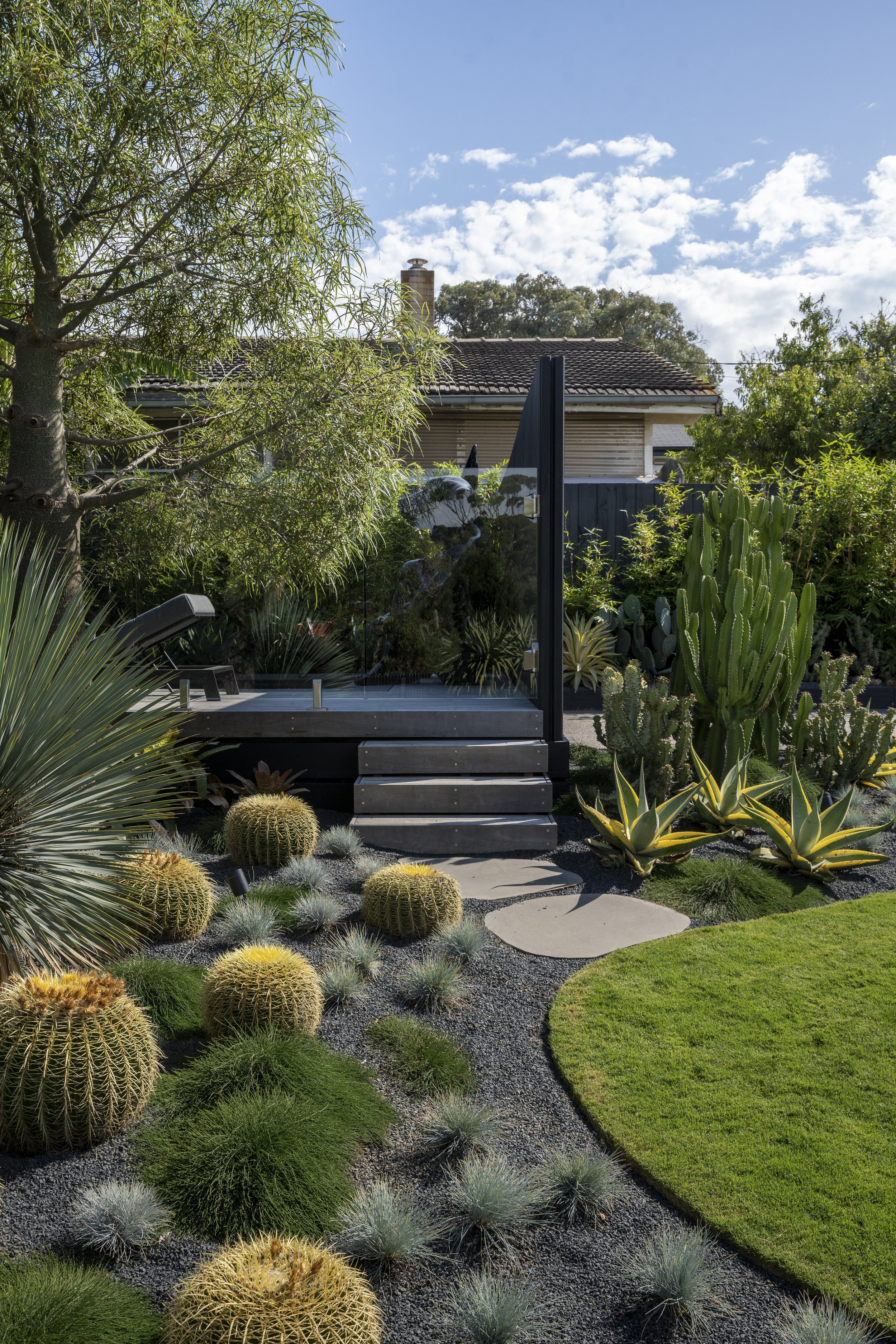 Garden with cacti, succulents, and ornamental grasses surrounding a pathway and deck.