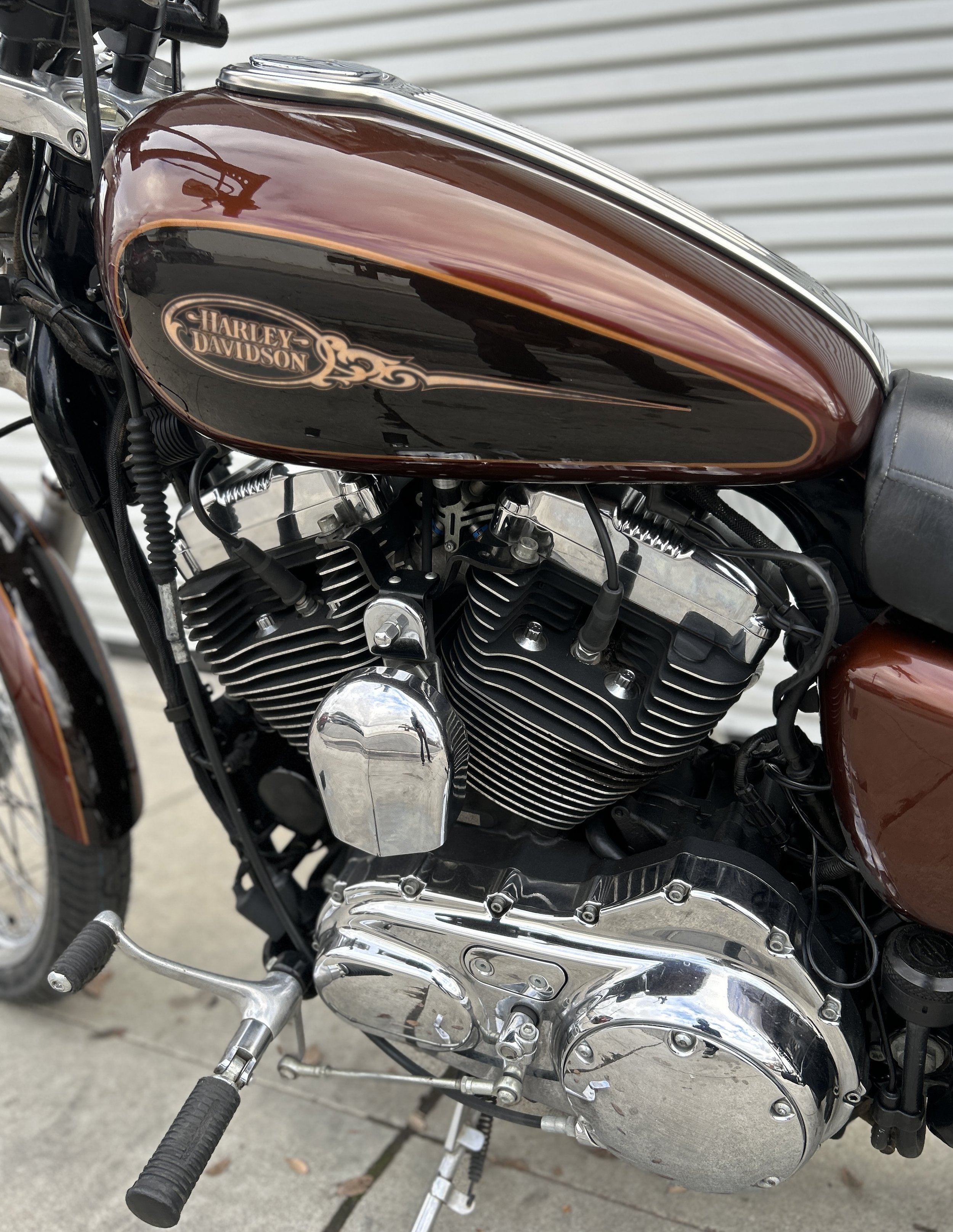 2009 HARLEY-DAVIDSON XL1200C