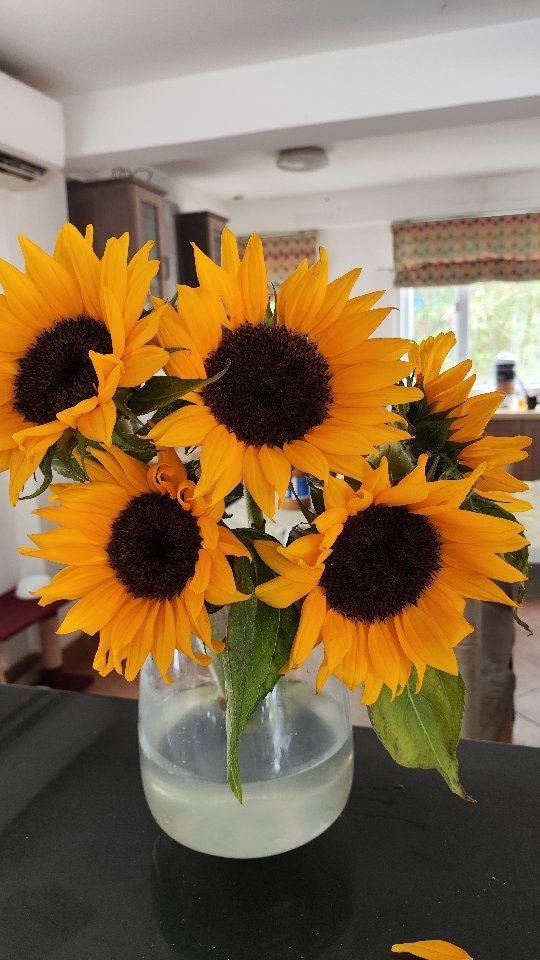 π»β¨ Dive into the vibrant colors of spring with my latest painting! Close-ups of sunflowers in a vase capture the essence of warmth and joy—perfect inspiration for a special Mother's Day card. πΌπ
Celebrate the beauty of nature and the love