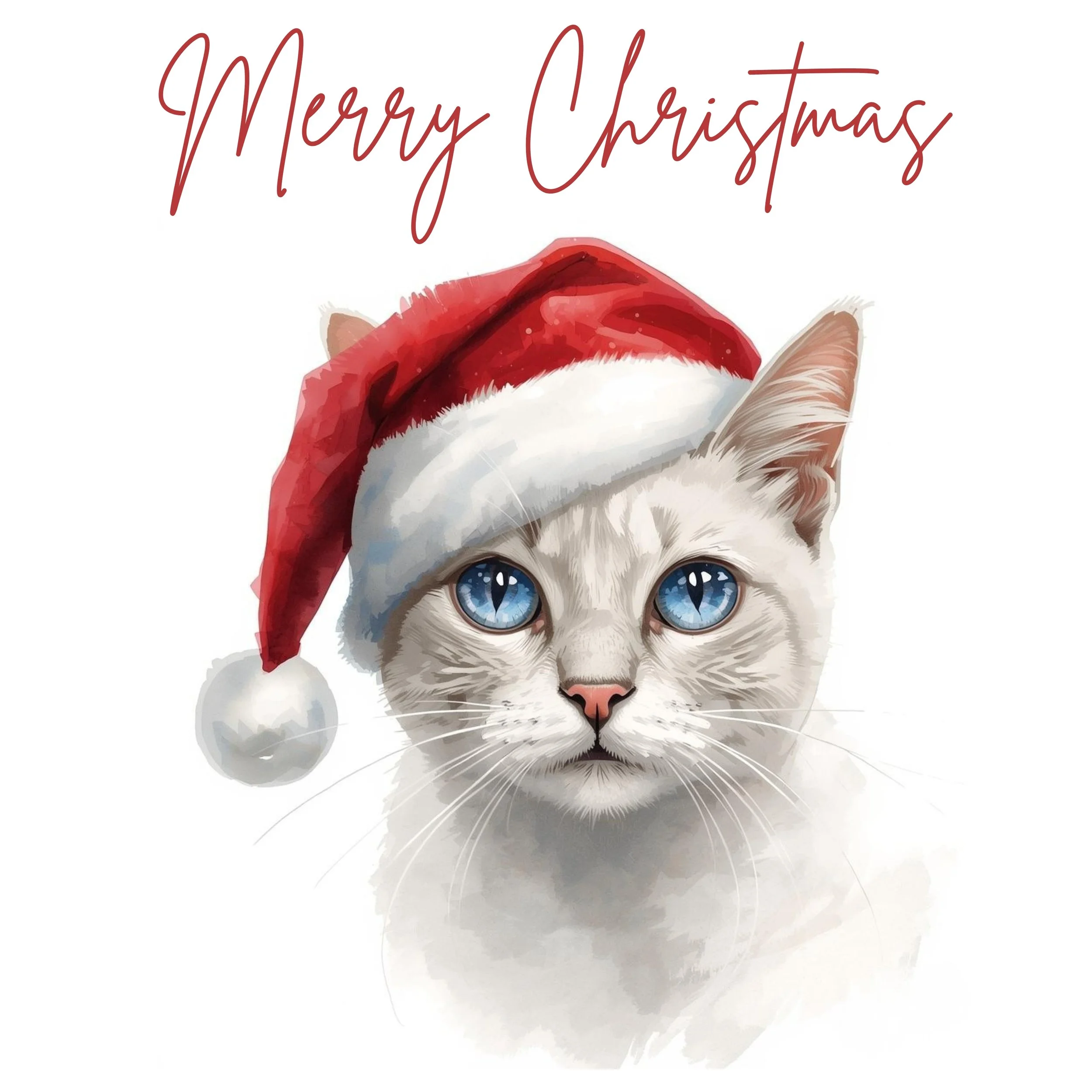 CHRISTMAS WHITE CAT