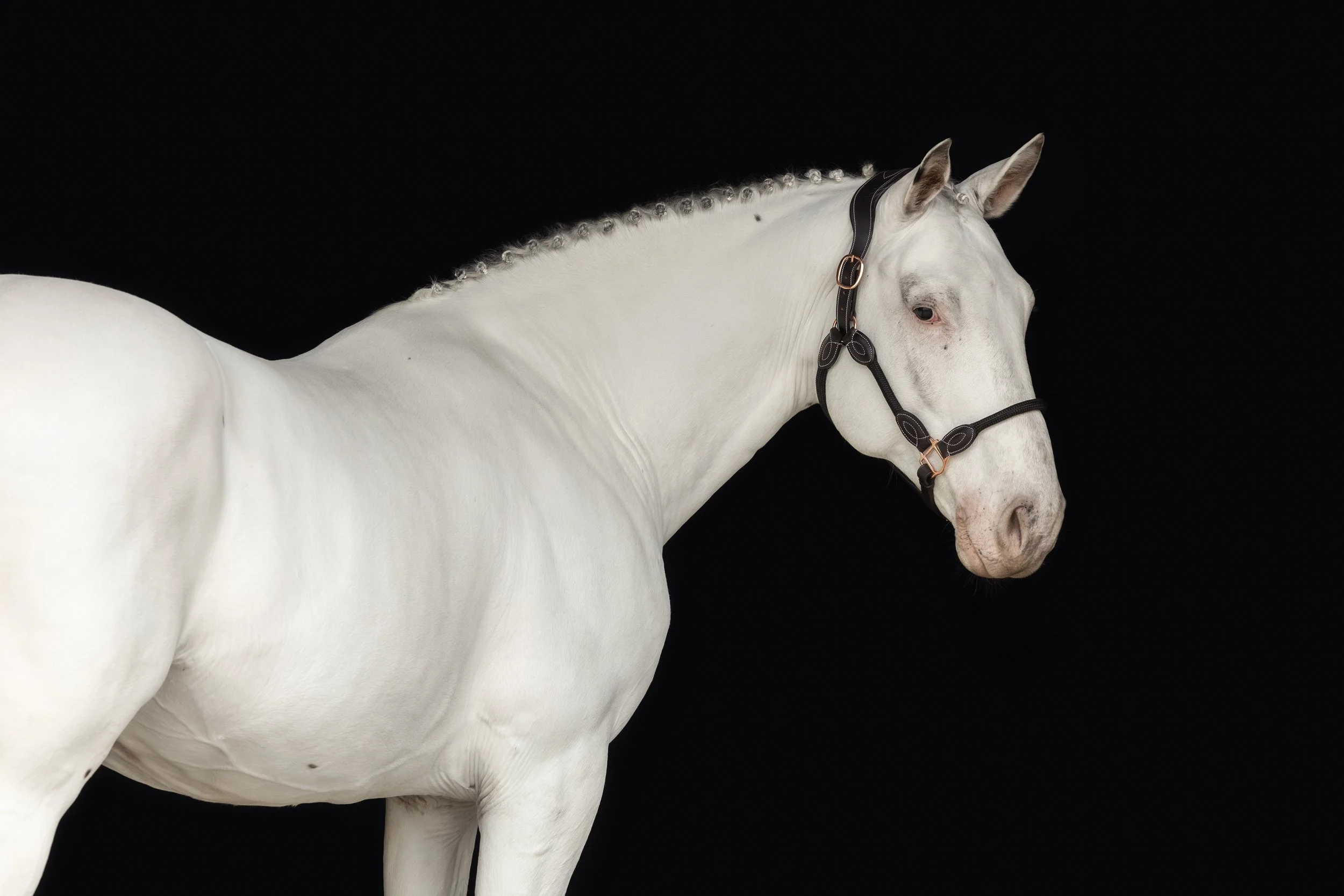 FHP_Heidi-6787 (2).jpg