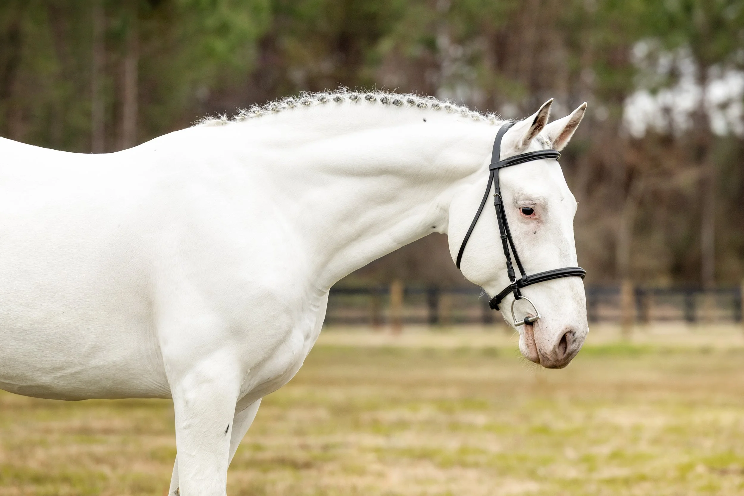 Heidi_Pax_3-2 (1).jpg