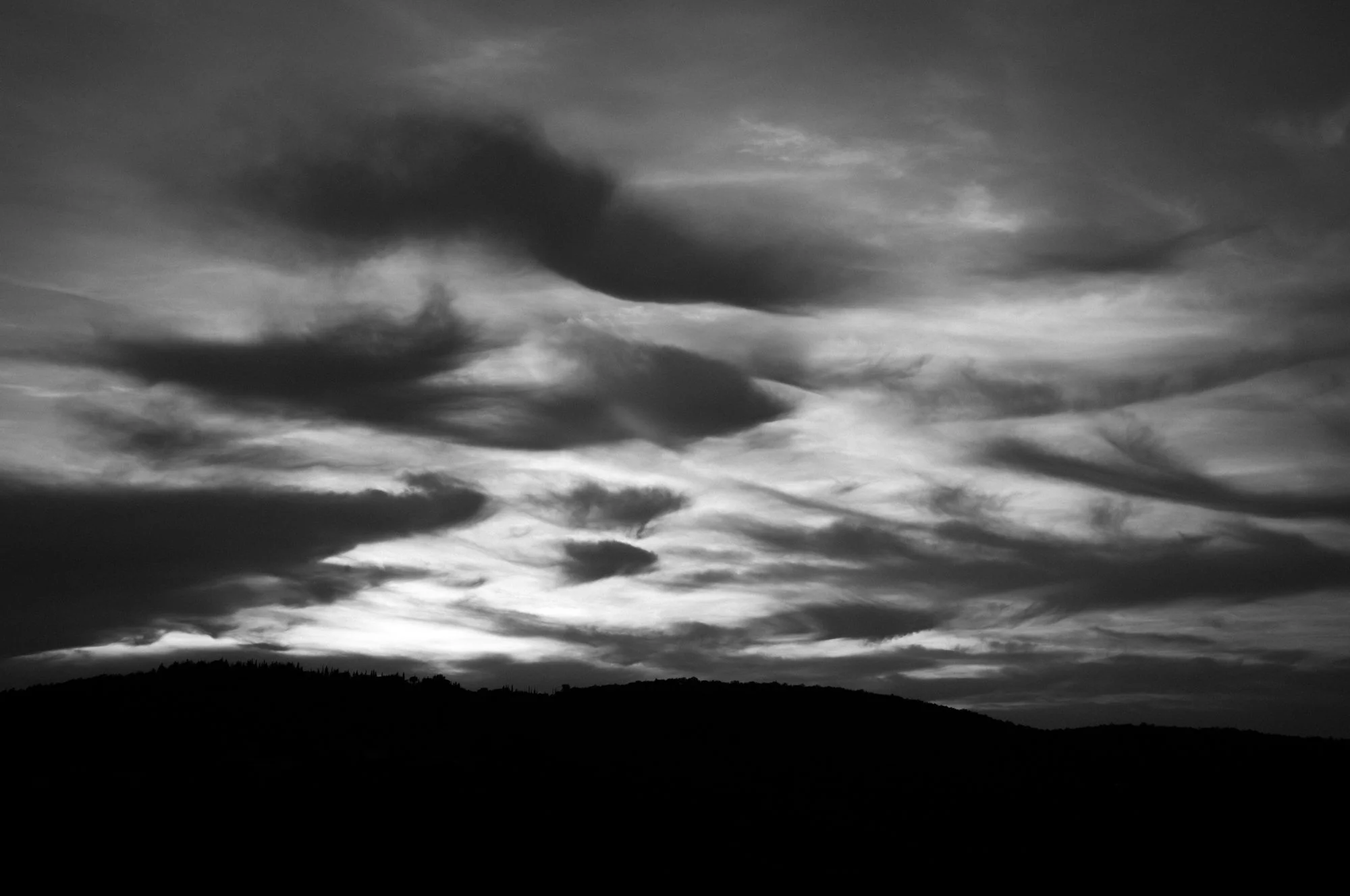L1008600.jpg