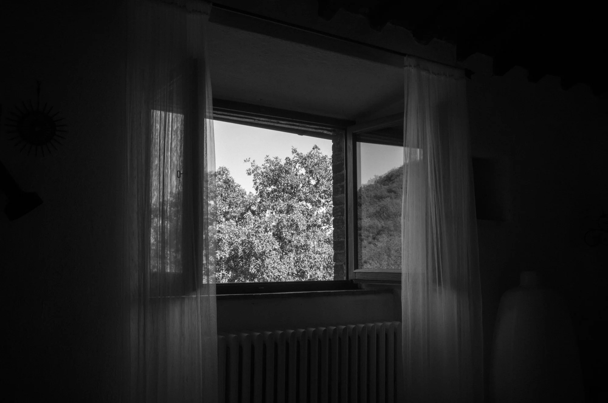 L1009286.jpg