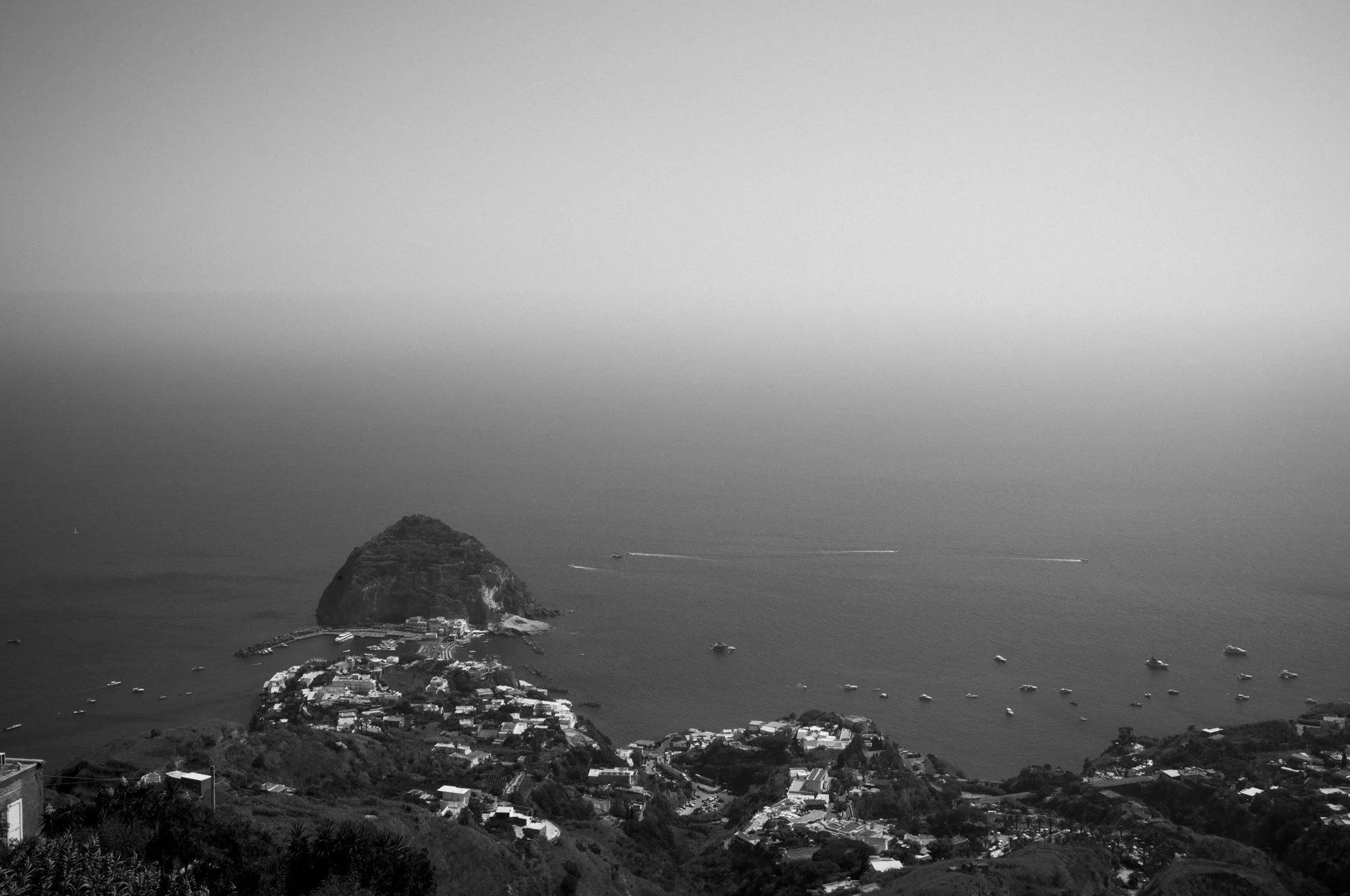 L1007509.jpg