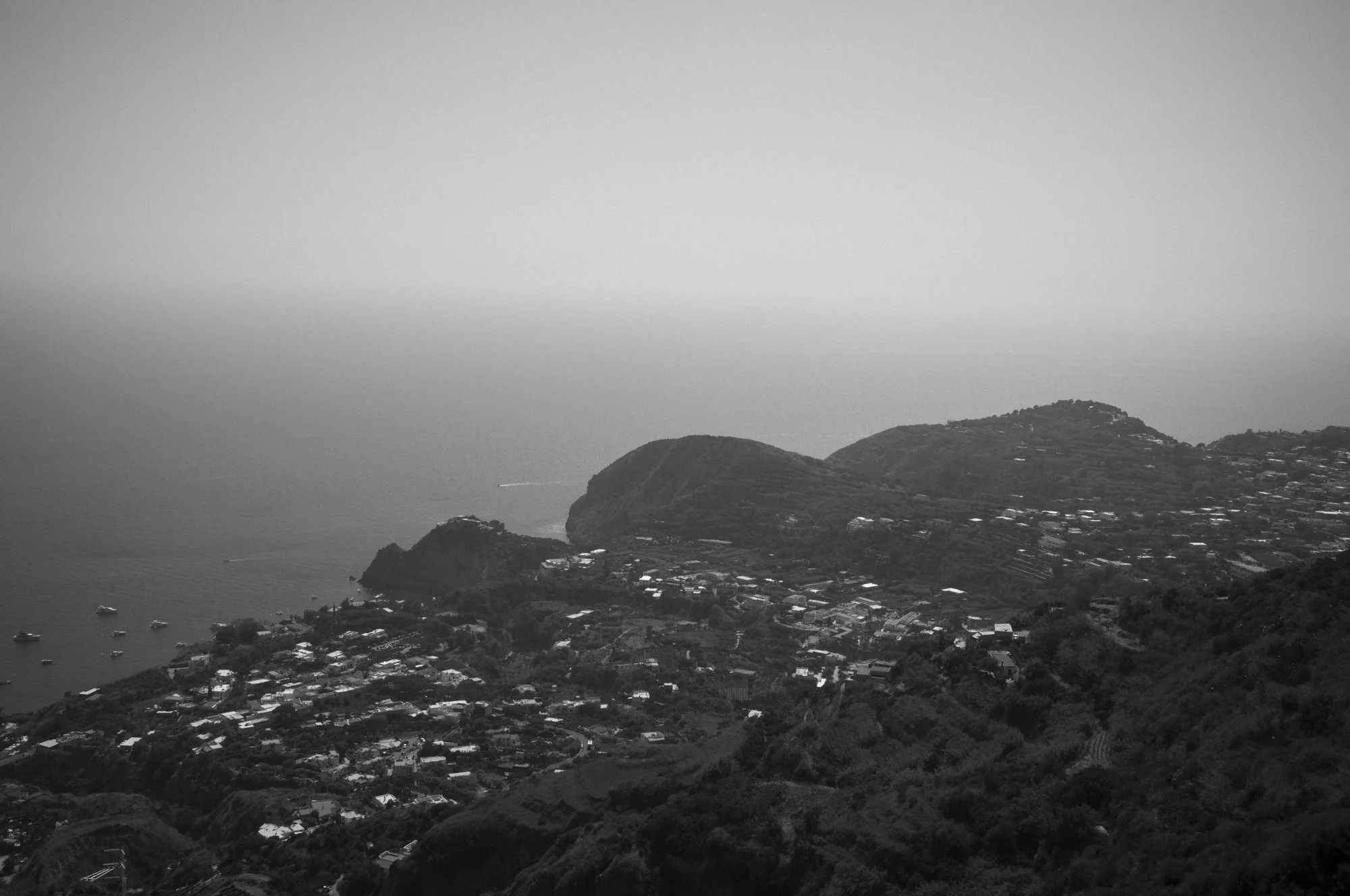 L1007513.jpg