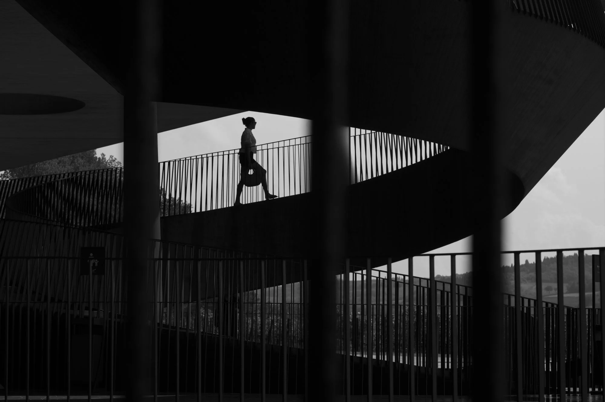 L1008682.jpg