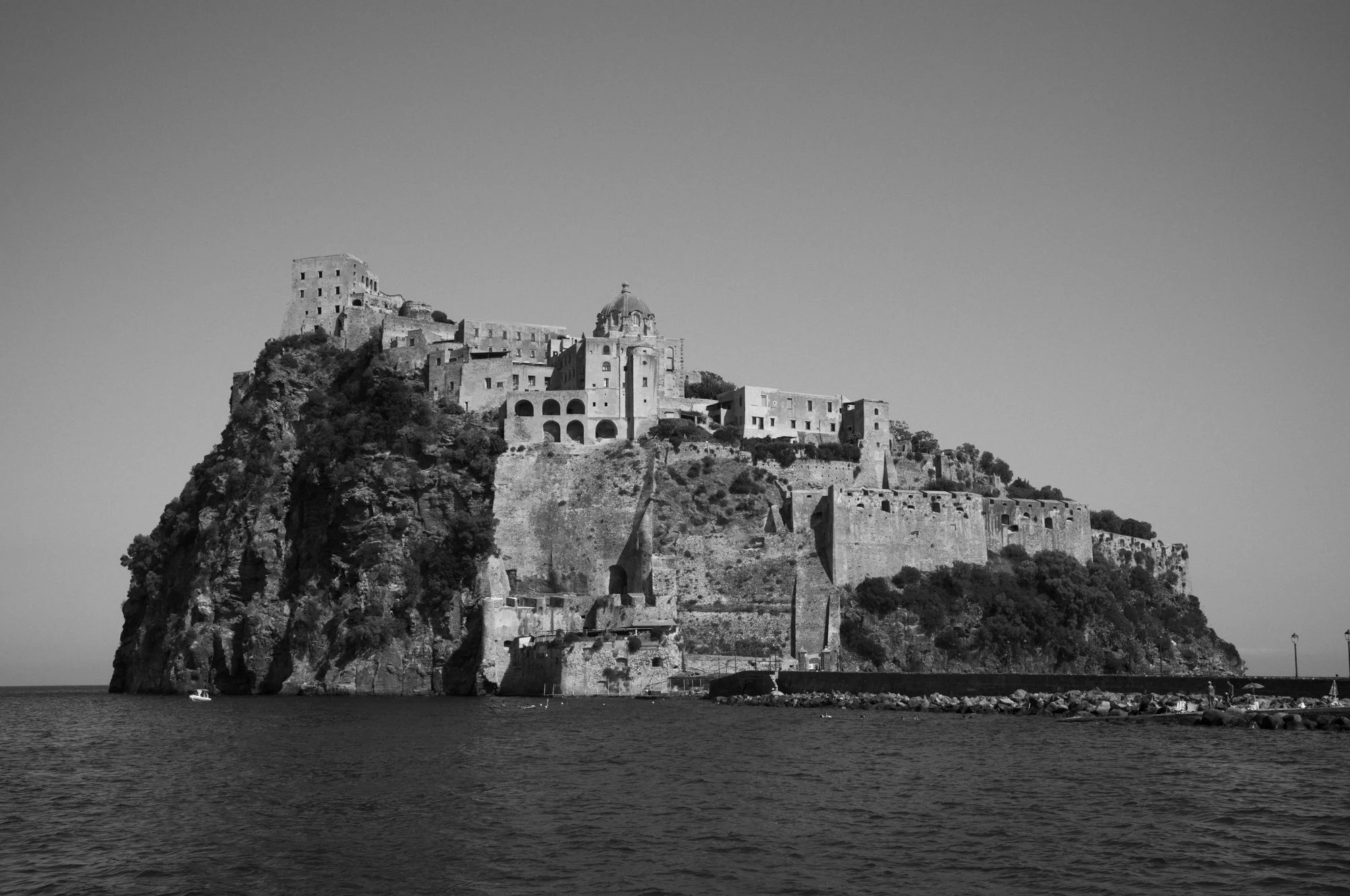 L1007526.jpg