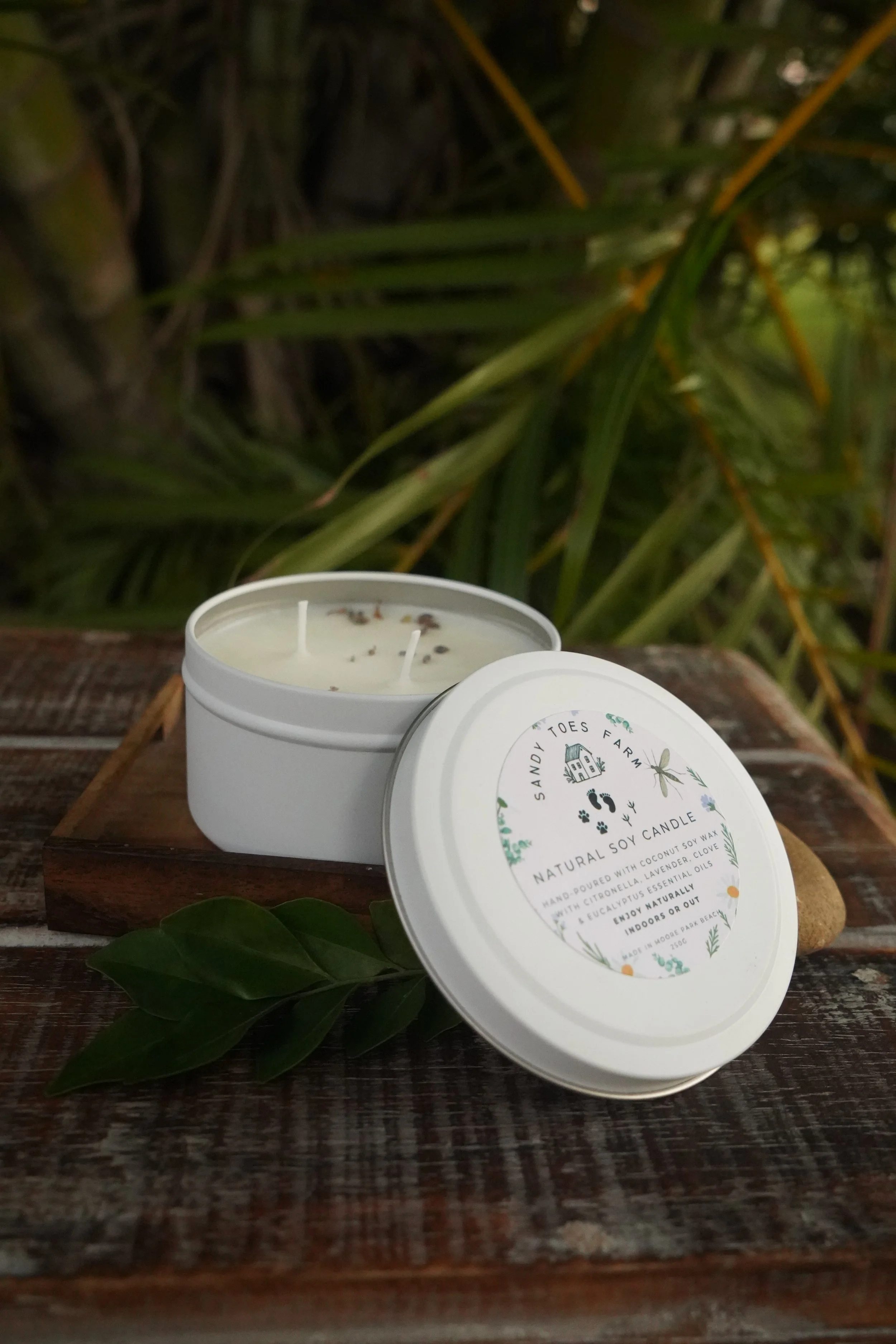 Natural Soy Candle 220g | Double-Wick Botanical Home Candle