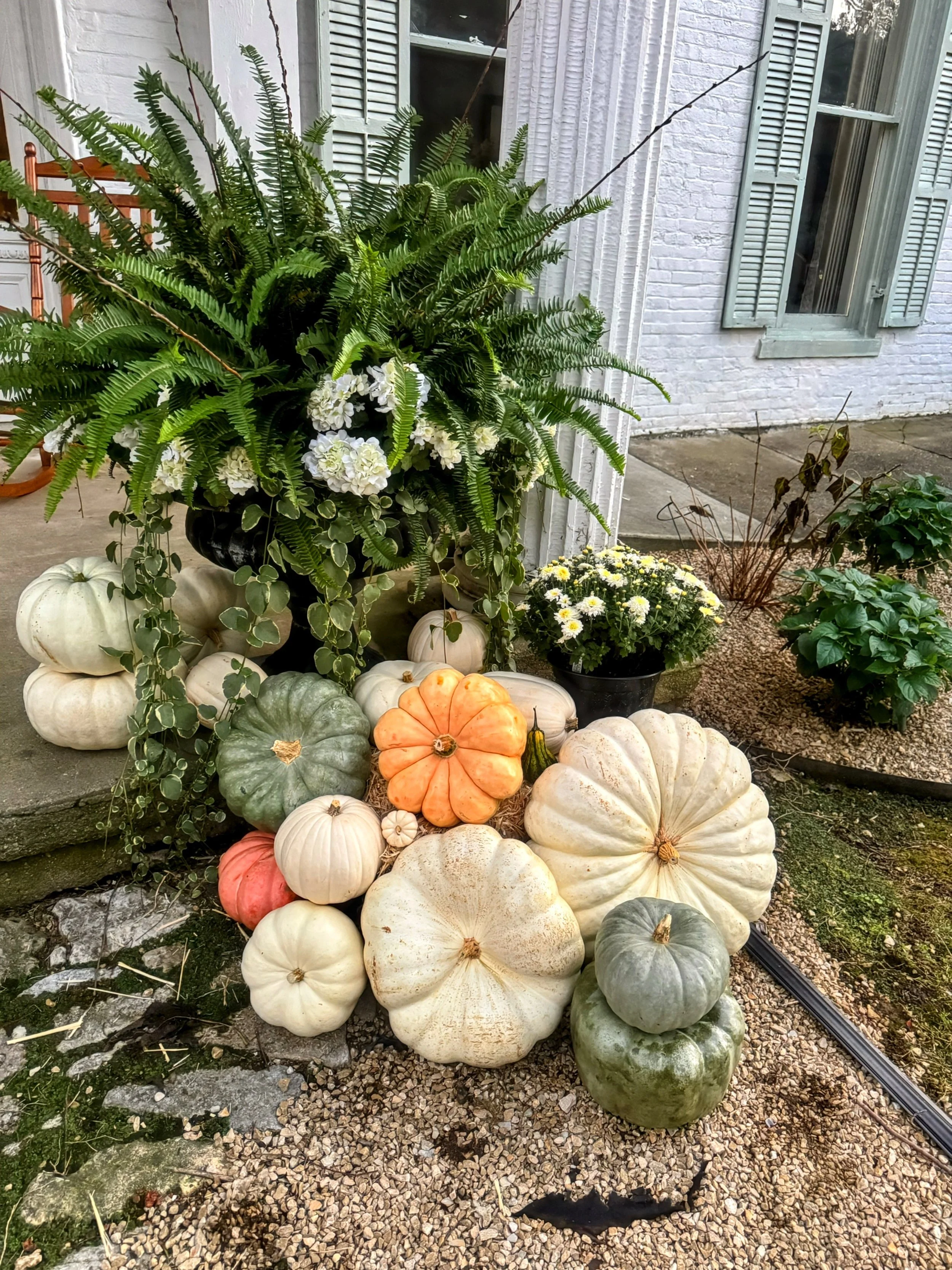 Muted Pumpkins with Hay.jpeg