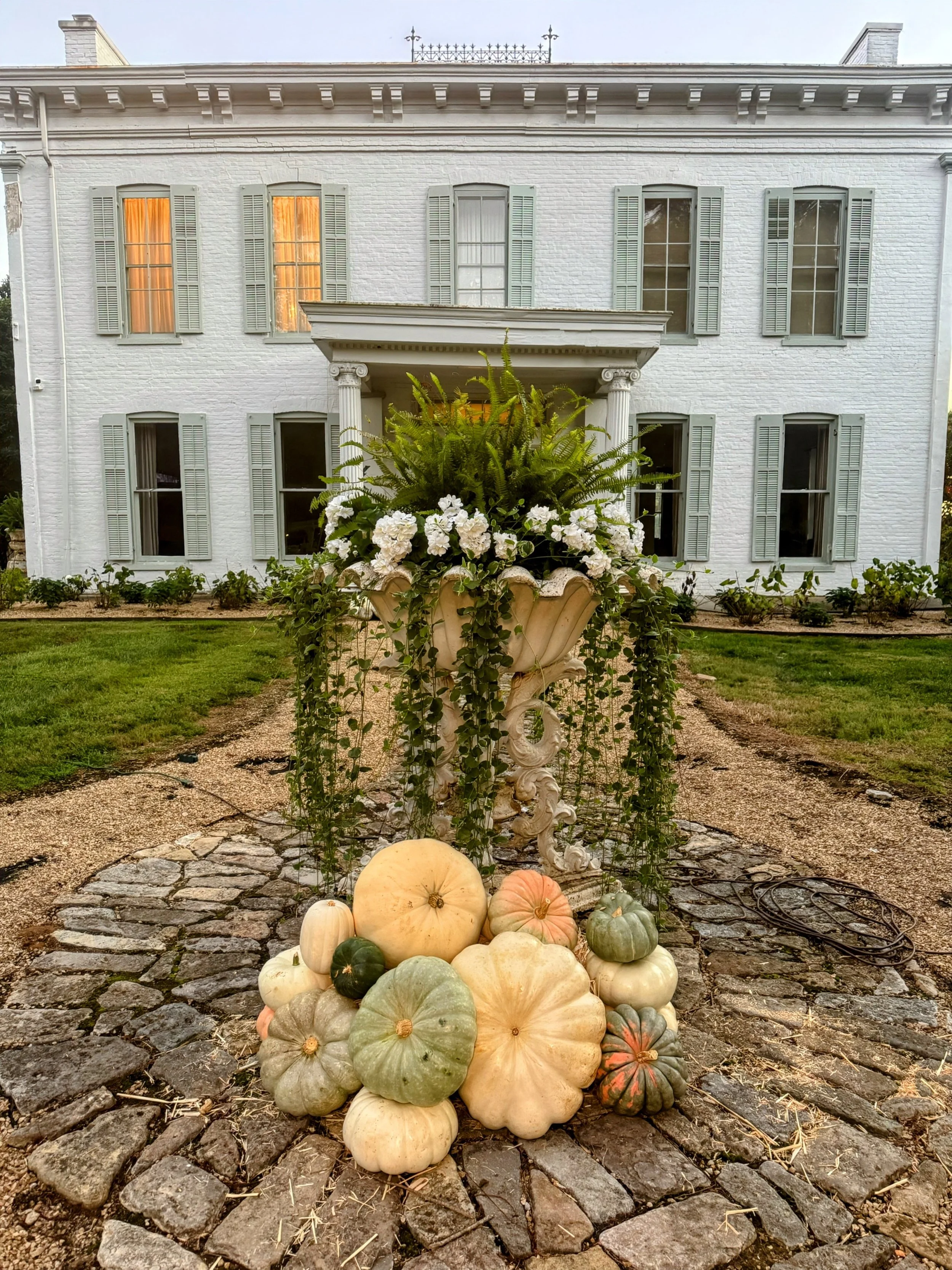 Neutral Pumpkins.jpeg