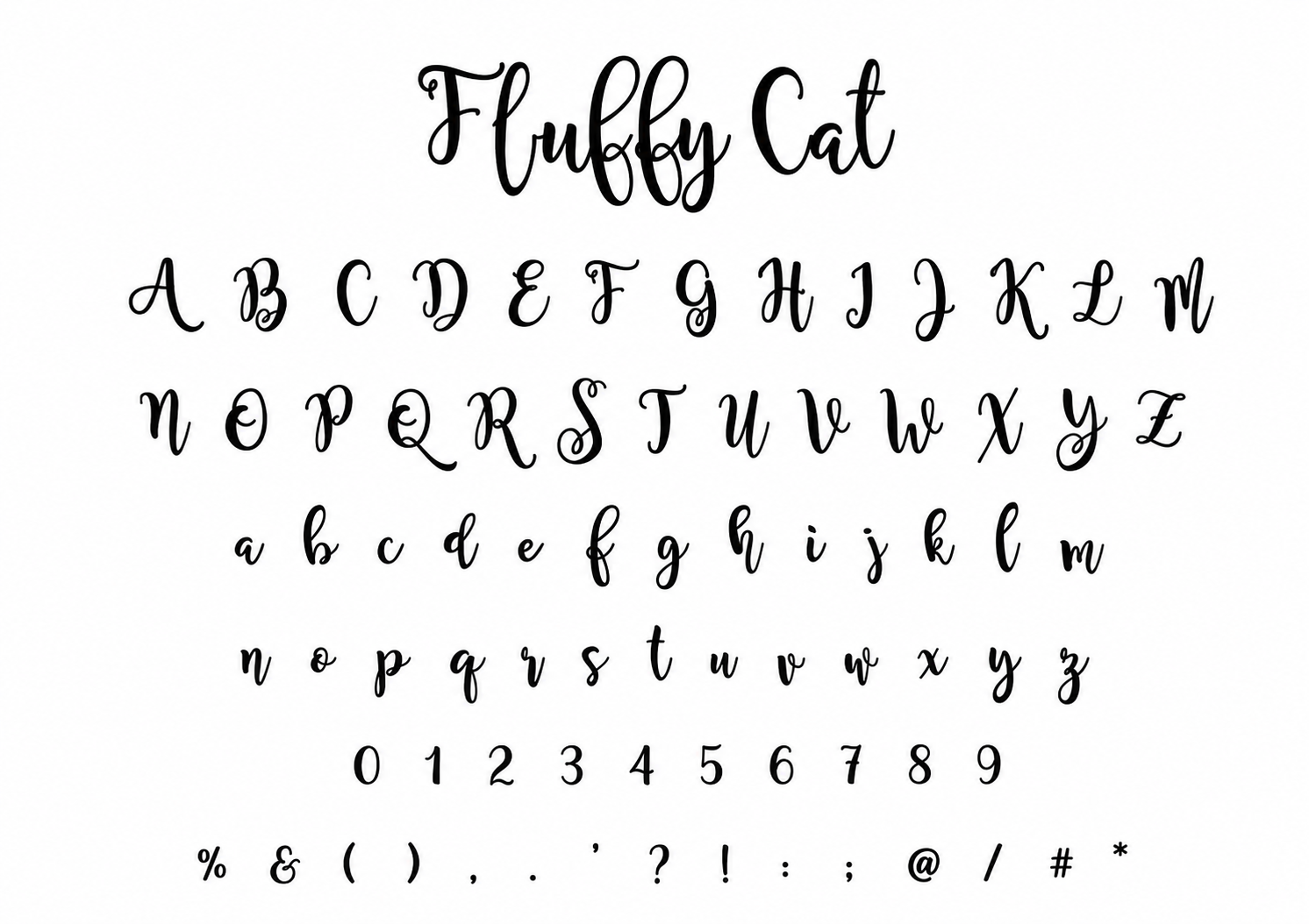 Fluffy Cat.png