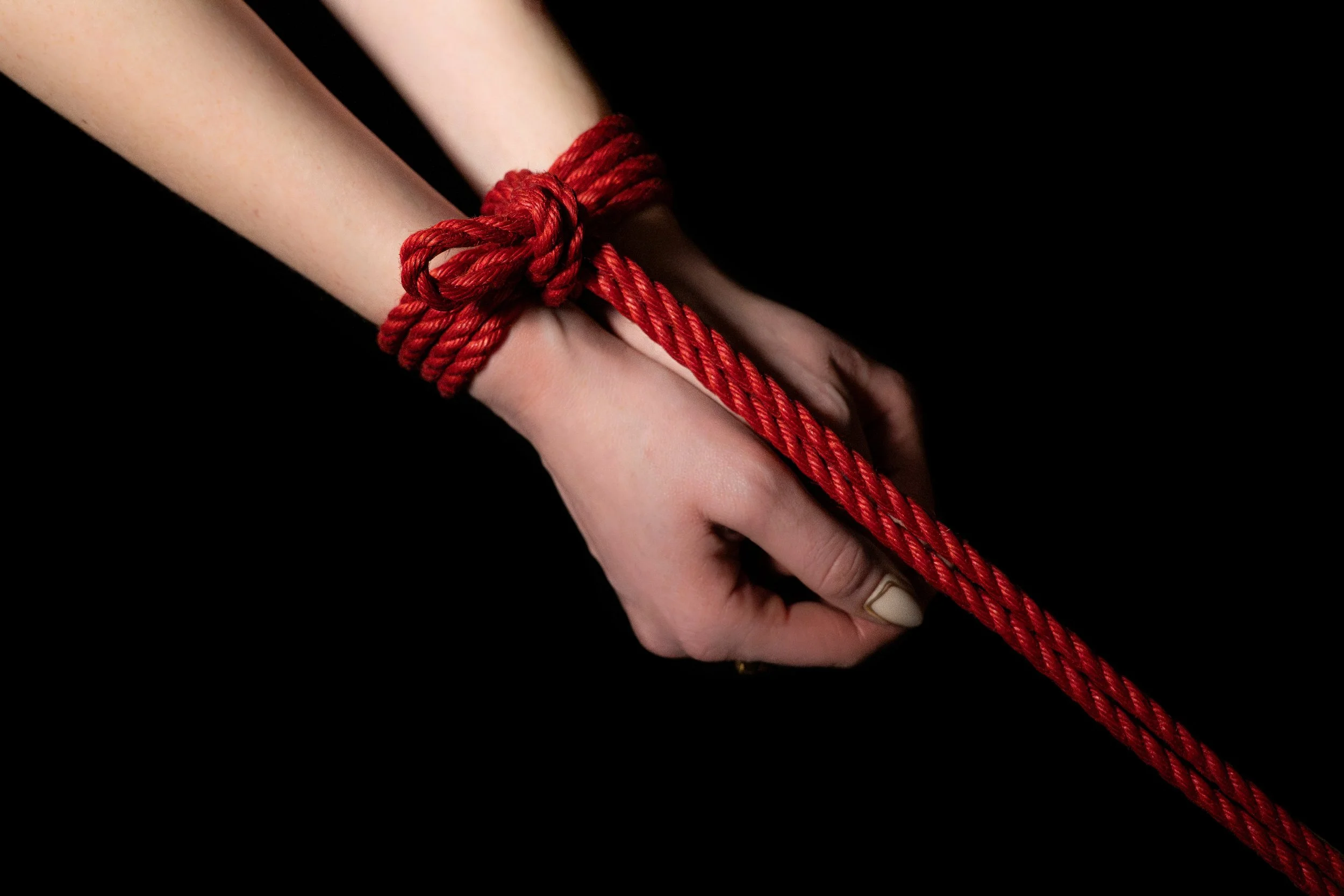 Calamari-Shibari-Level 1.jpg