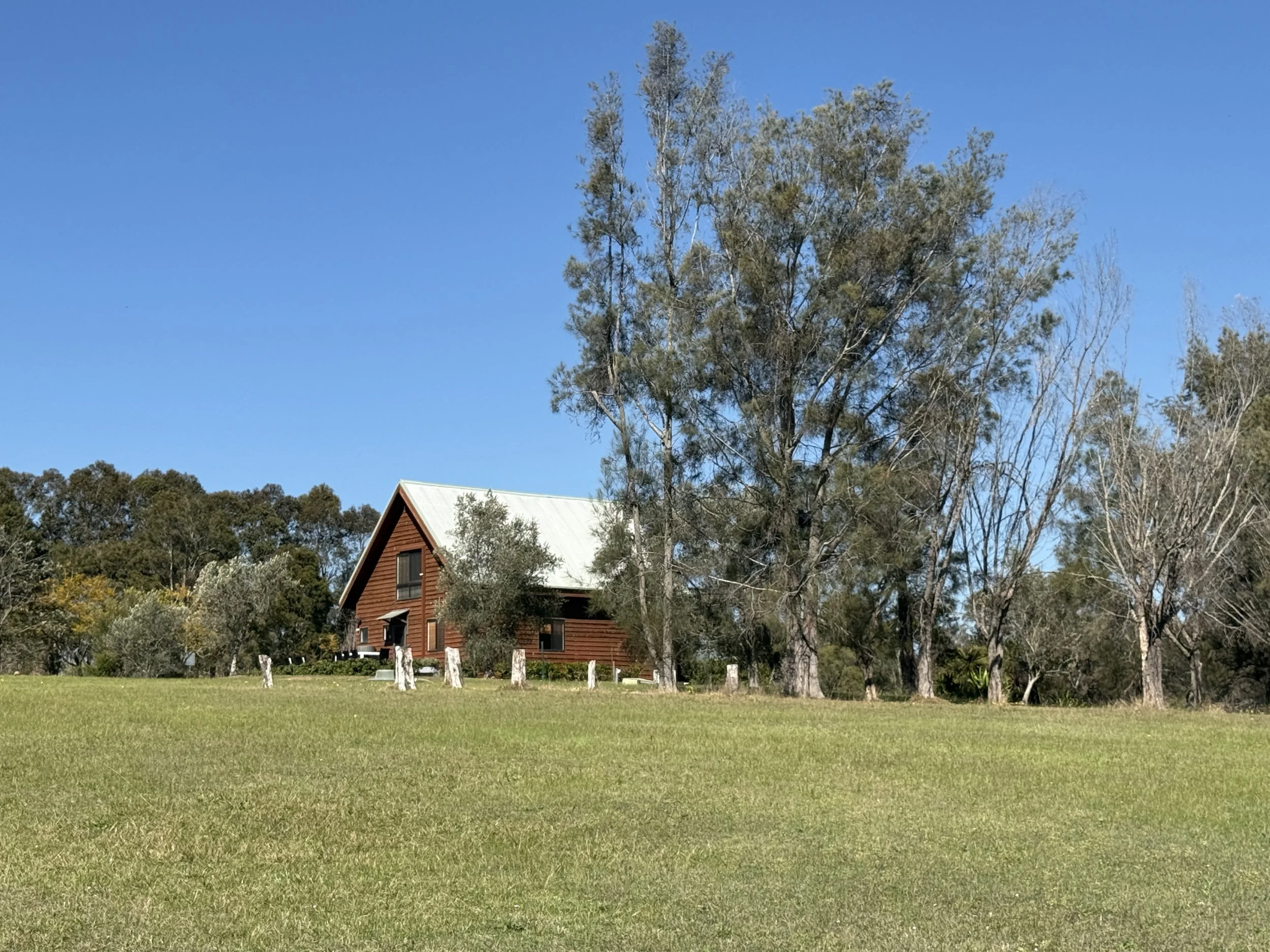 A large green lawn with a red wooden house and tall trees in the background under a clear blue sky.