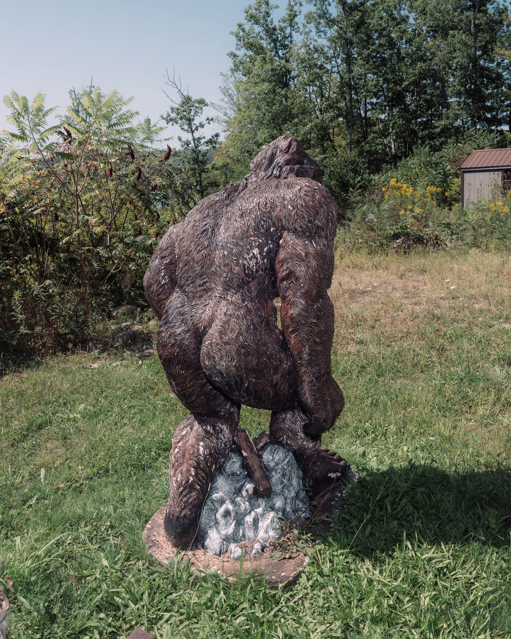 27 - big foot from behind.jpg