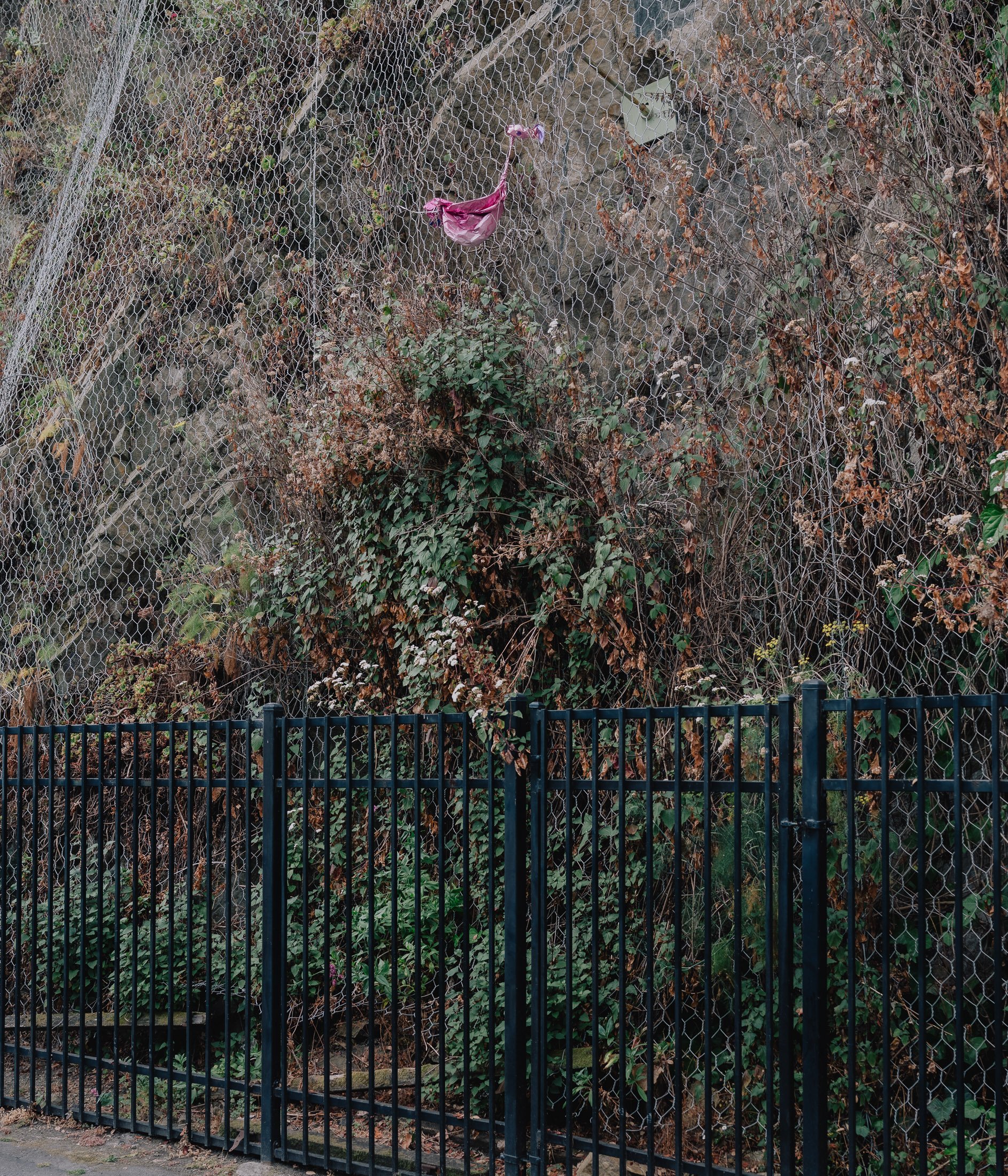 16 - flamingo.jpg