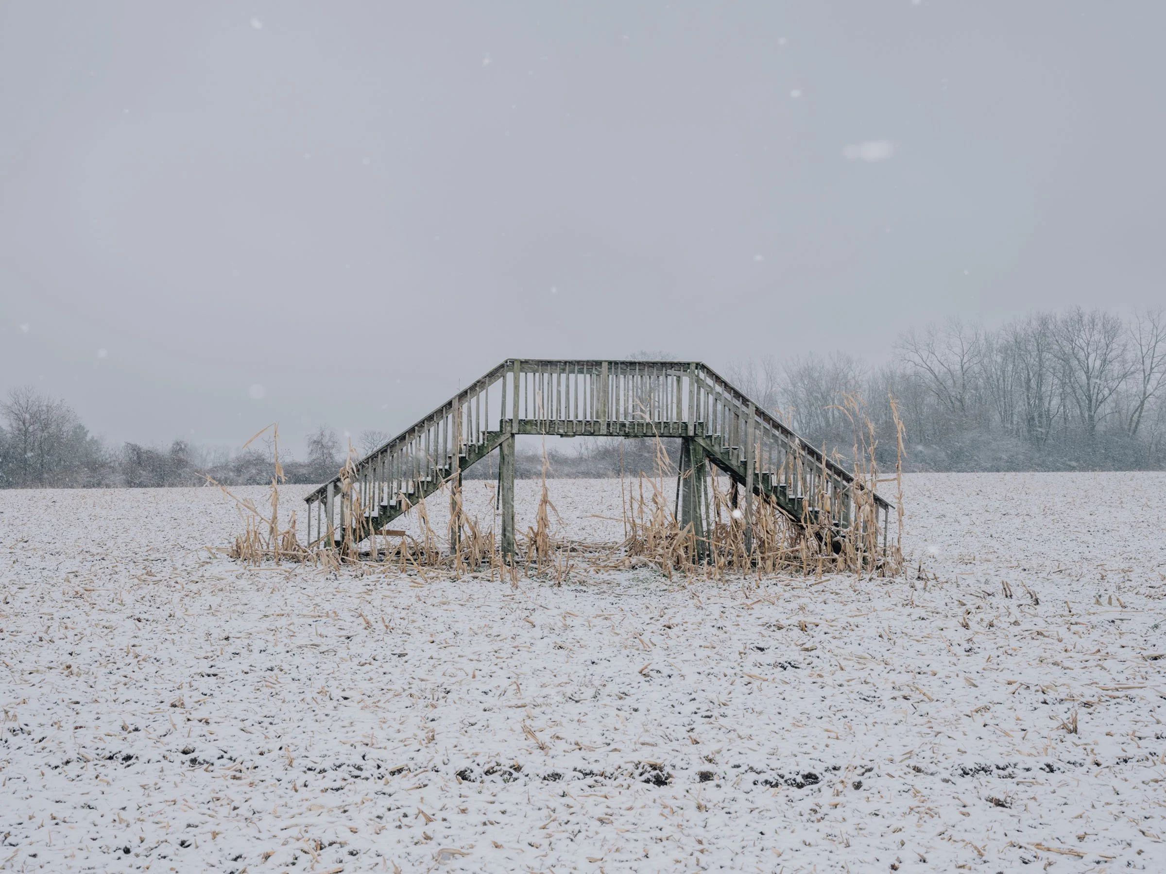 A wooden staircase leading to a small platform in a snowy field, with bare trees in the background and snow falling from the overcast sky.
