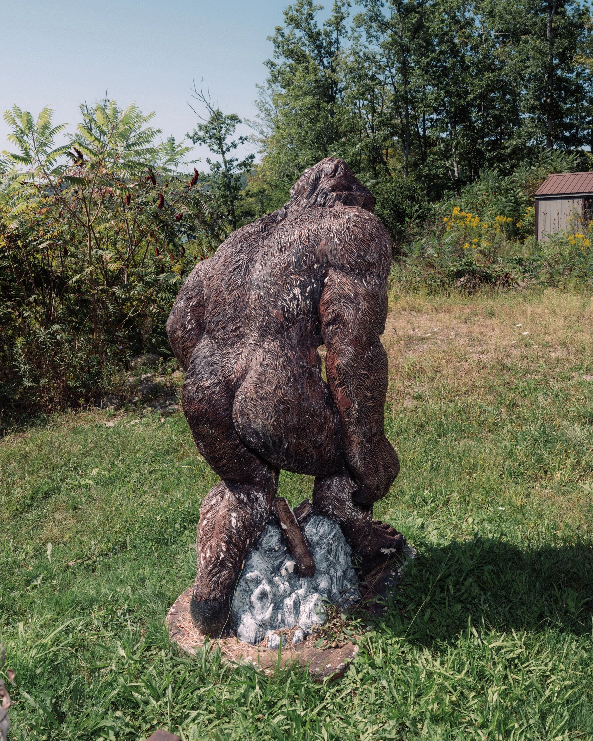 A wooden sculpture of a bear standing on a rock base in a grassy area, with trees and a small shed in the background.