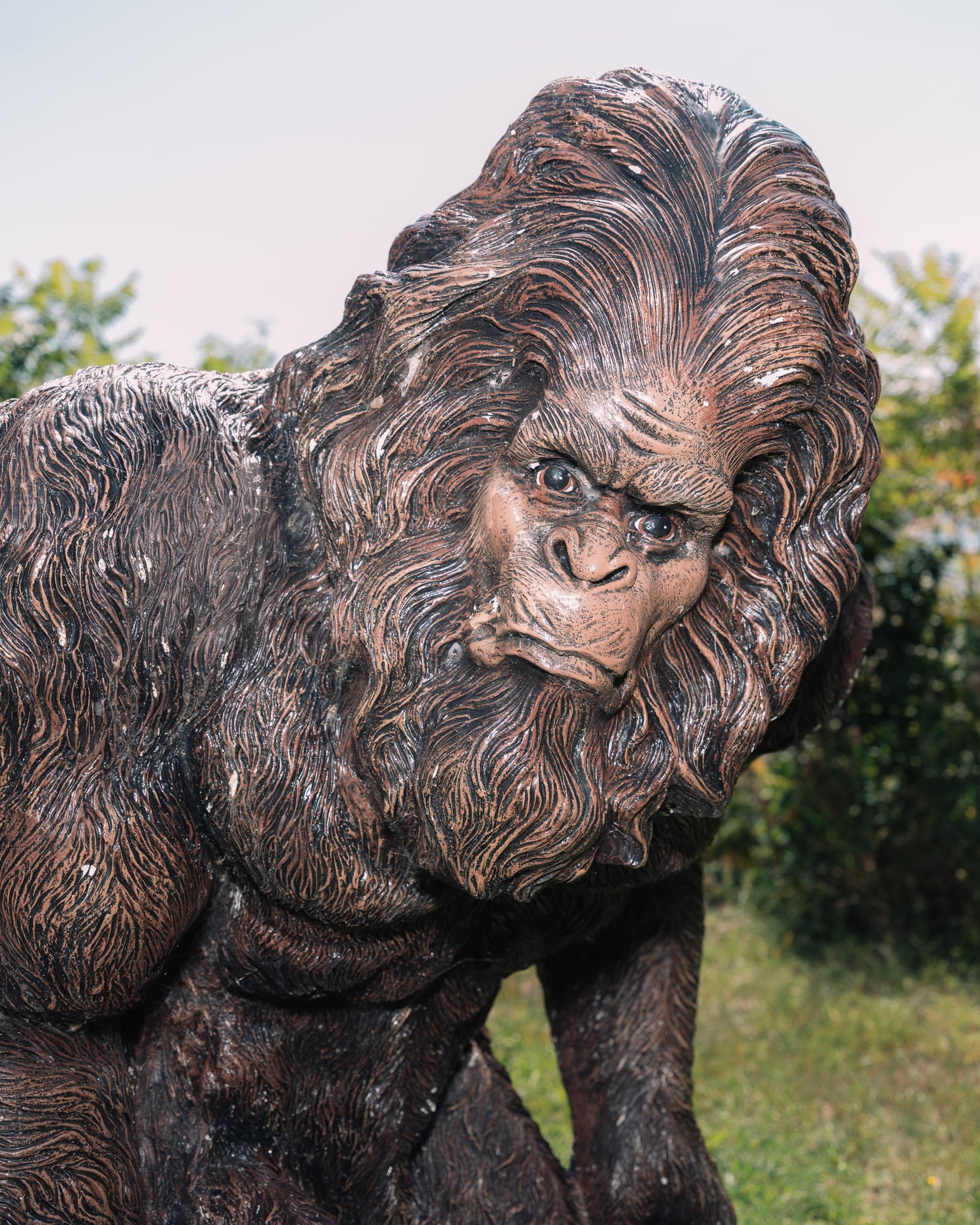 01-big foot portrait.jpg