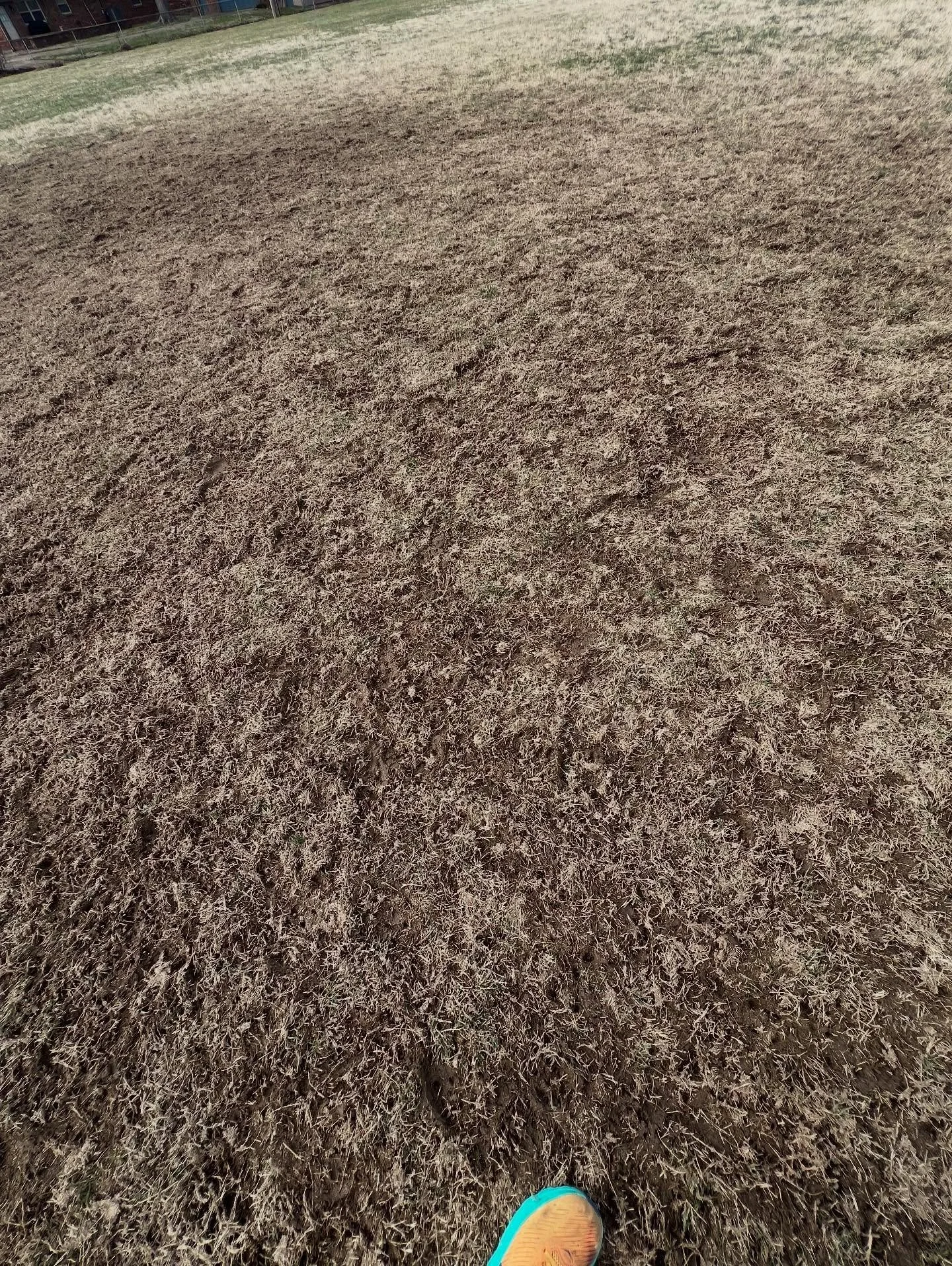 Please Share - for members of the public. 🚨⚠️

This is for the random people who like to go to Thompson Berry to play pick-up soccer or shoot the ball. ⚽️ 

STOP going on the fields DURING OR AFTER HEAVY RAIN. ☔️🚷

You are vandalizing and destroyin