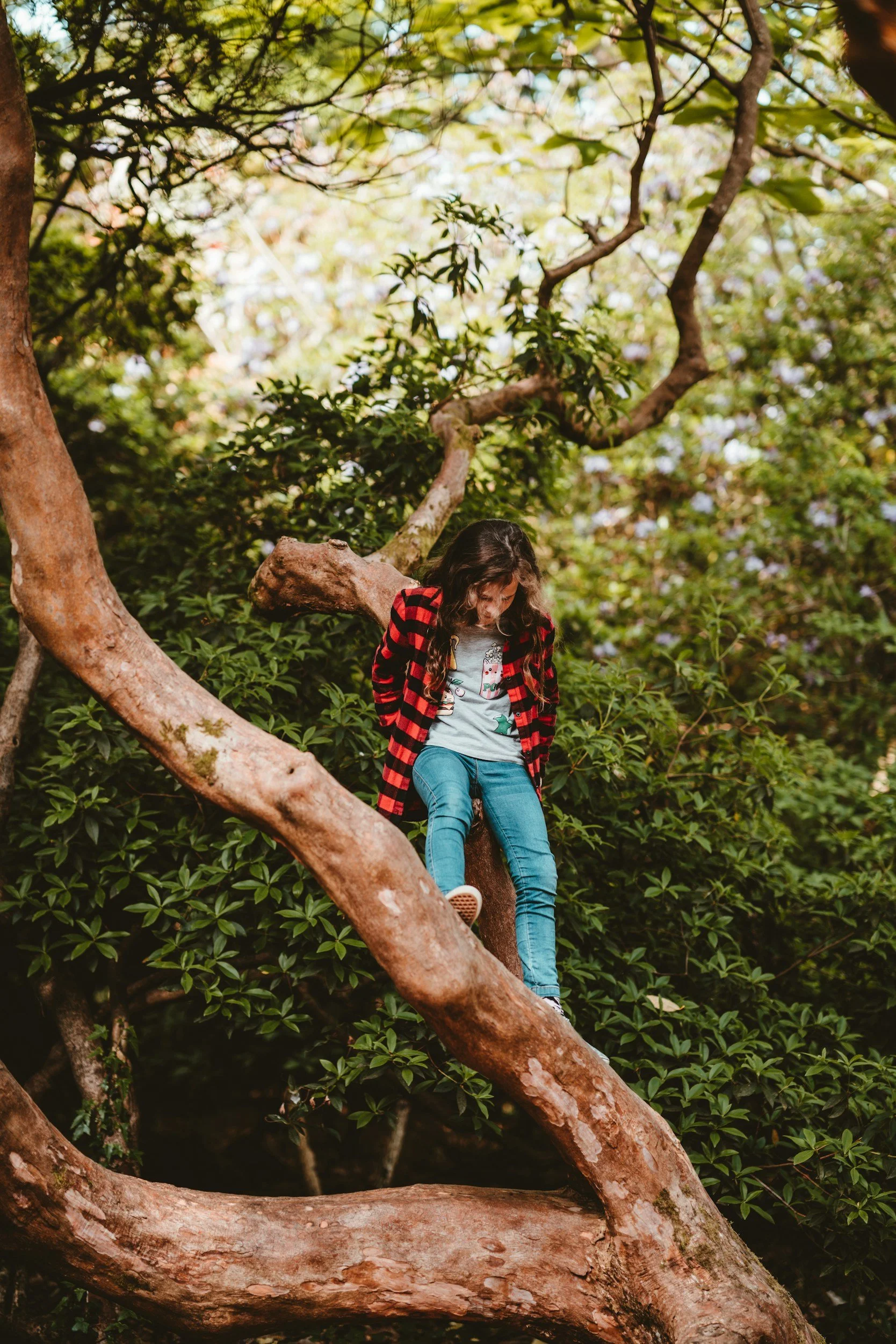 Child climbing tree, wearing red plaid shirt and jeans, surrounded by green foliage.