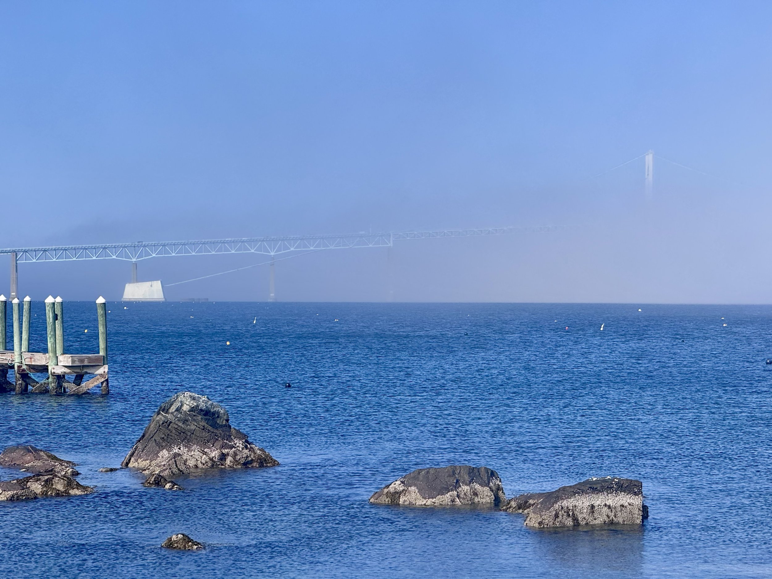 What the Fog?! How to Know If You're Burning Out