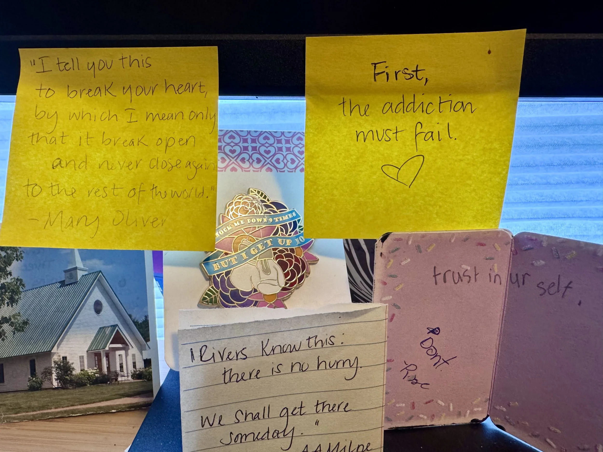 No One Can Cross Your Boundary But You: Owning Your Boundaries, The O in FLOURISH