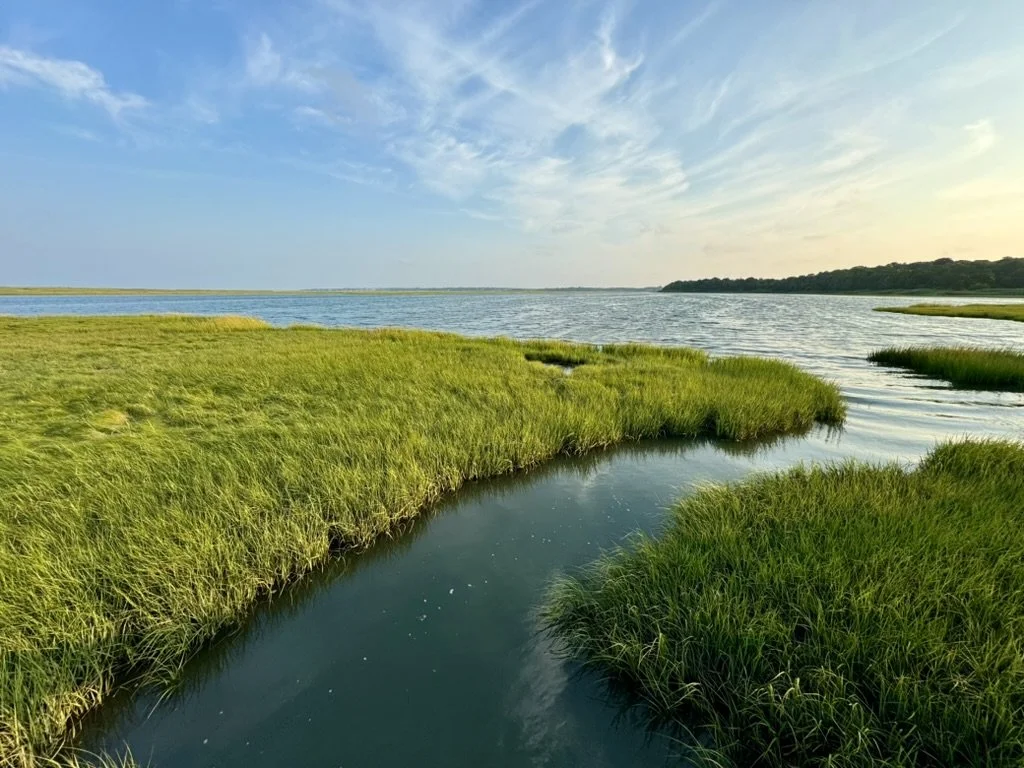 Scenic view of a coastal marshland with green grass and a body of water extending to the horizon under a blue sky.