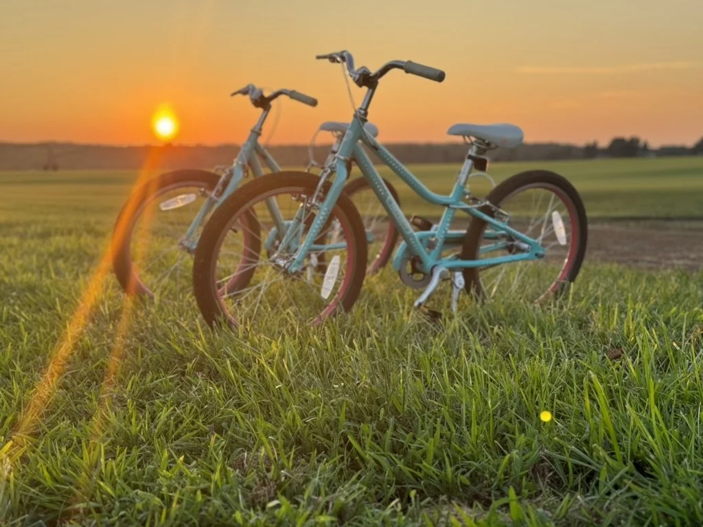 Two blue bicycles on grass with a sunset background