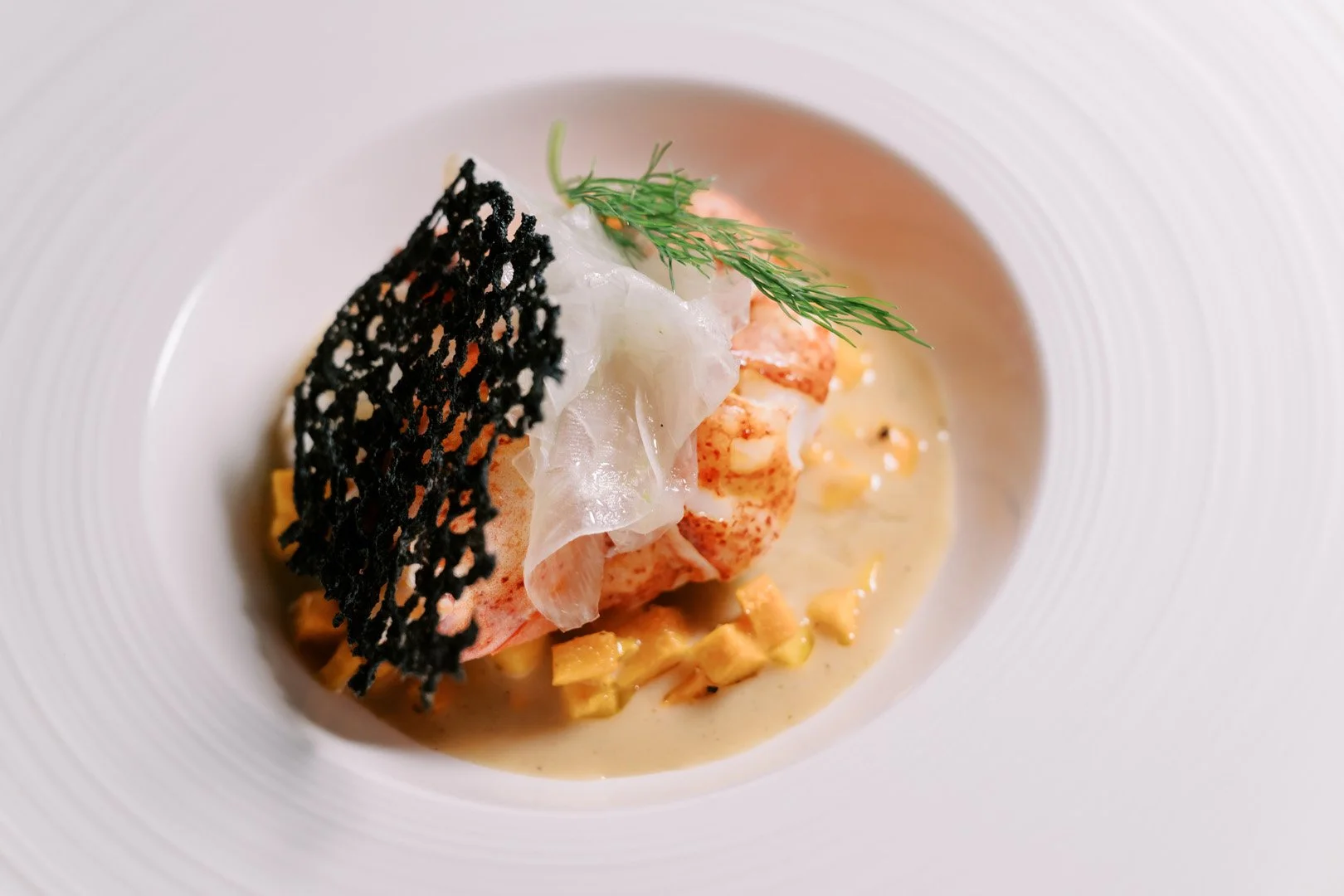 A gourmet seafood dish featuring lobster, garnished with dill, served with a creamy sauce and crispy black garnish on a white plate.