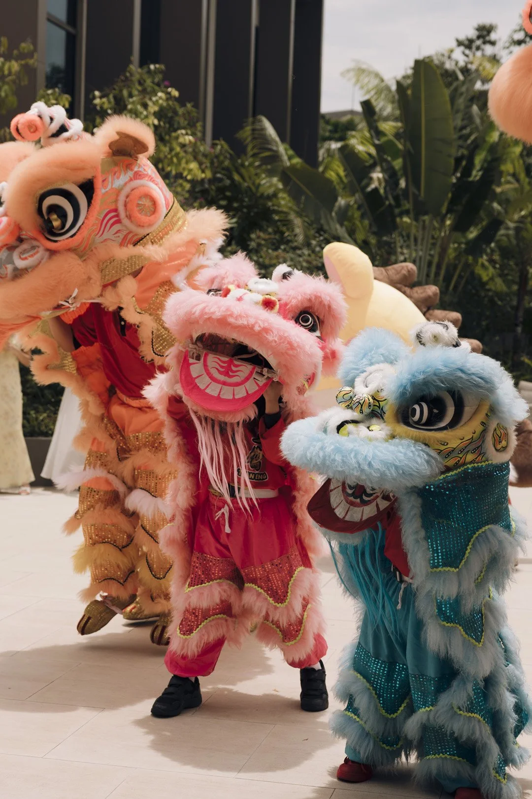 Two performers in colorful lion dance costumes with large, expressive eyes and fluffy fur, during a cultural event in an indoor space with plants.
